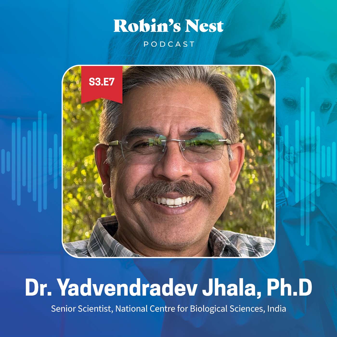 Bringing Wildlife Back: Dr. Jhala’s Mission to Restore India’s Endangered Species