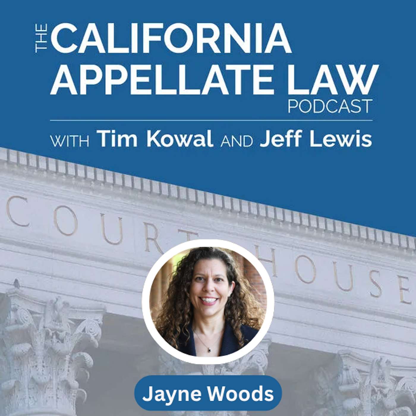 Don’t Boies Schiller your brief—”Read all your cases!” says AI Legal Writing Prof. Jayne Woods Don’t Boies Schiller your brief—”Read all your cases!” says AI Legal Writing Prof. Jayne Woods
