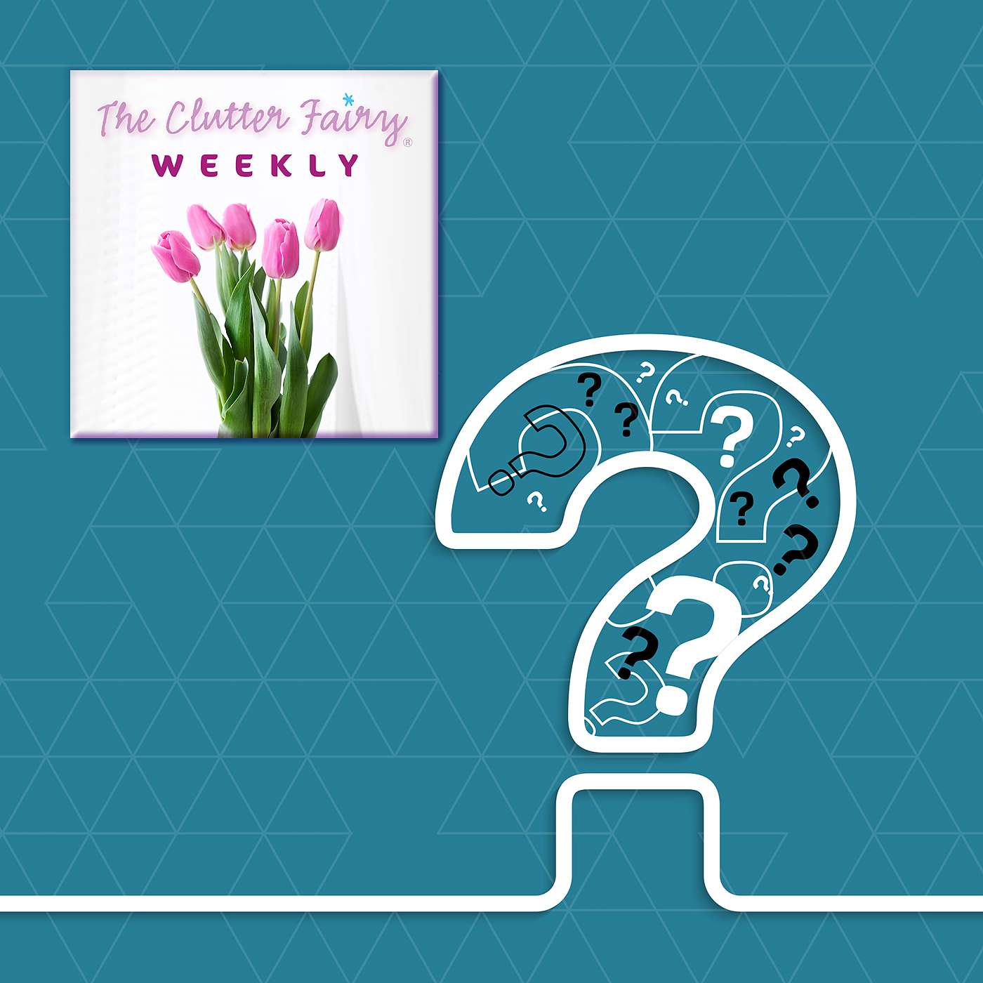 Most Effective Mindsets for Downsizing | Favorite Client Excuses - The Clutter Fairy Weekly #313 episode artwork
