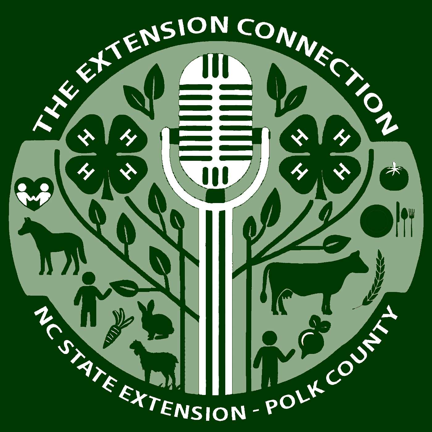 The Extension Connection 