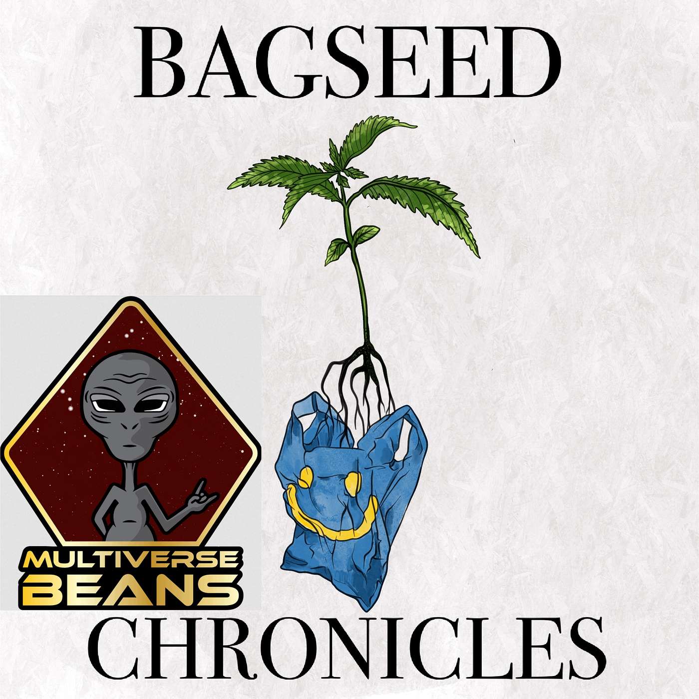 Paul From Multiverse Beans