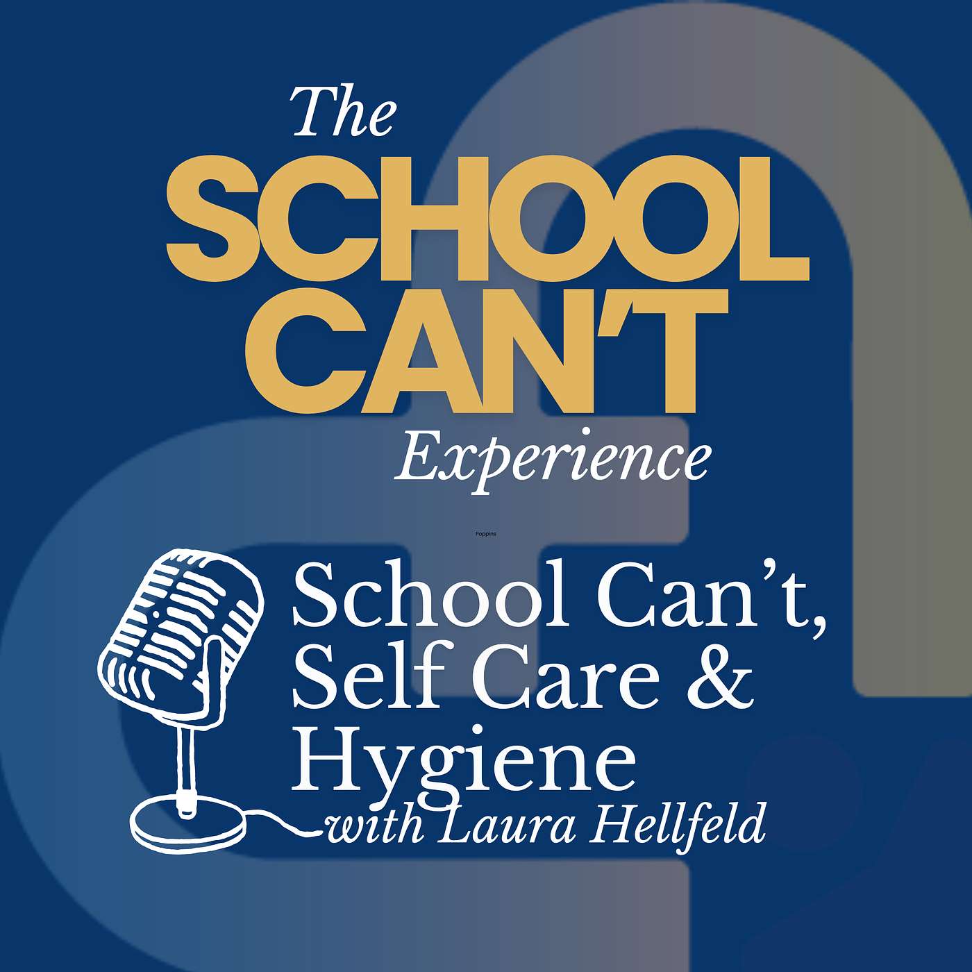 The School Can\'t Experience