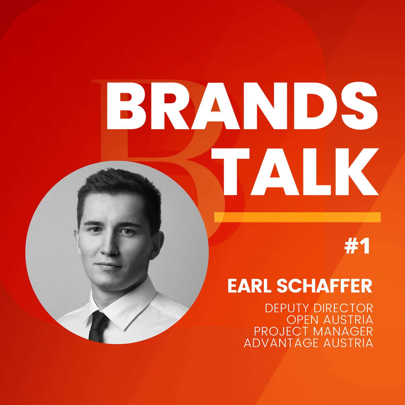 The Power of Brands in the Silicon Valley w/ Earl Schaffer