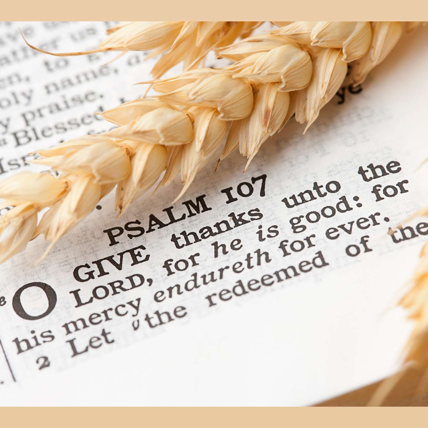 Cultivating a Thankful Heart