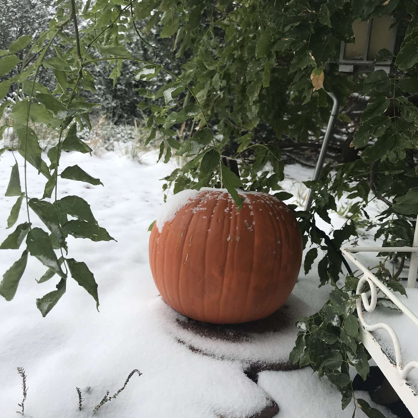 First Cup of Coffee - October 15, 2018