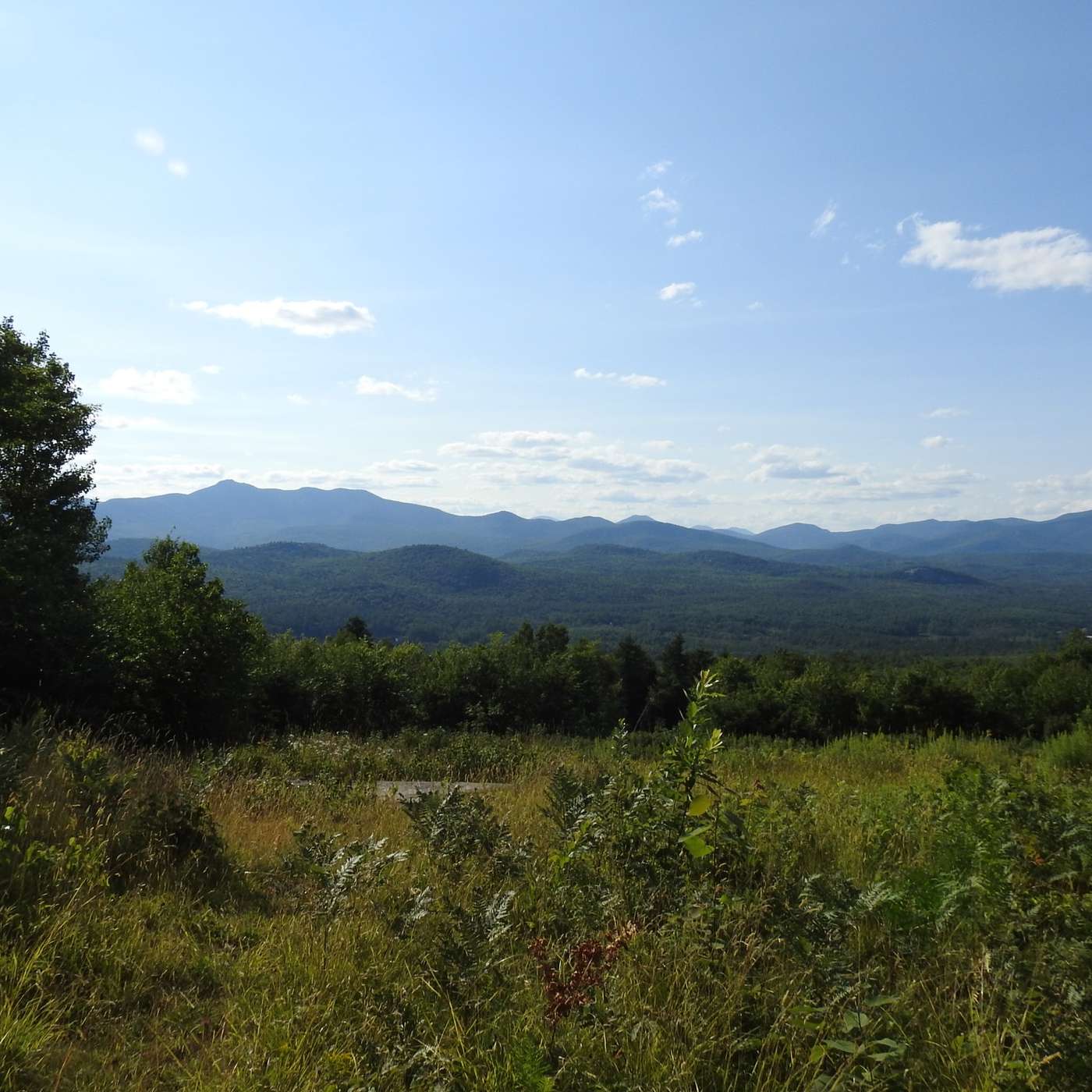 SUMMER EVENINGS IN THE MOUNTAINS