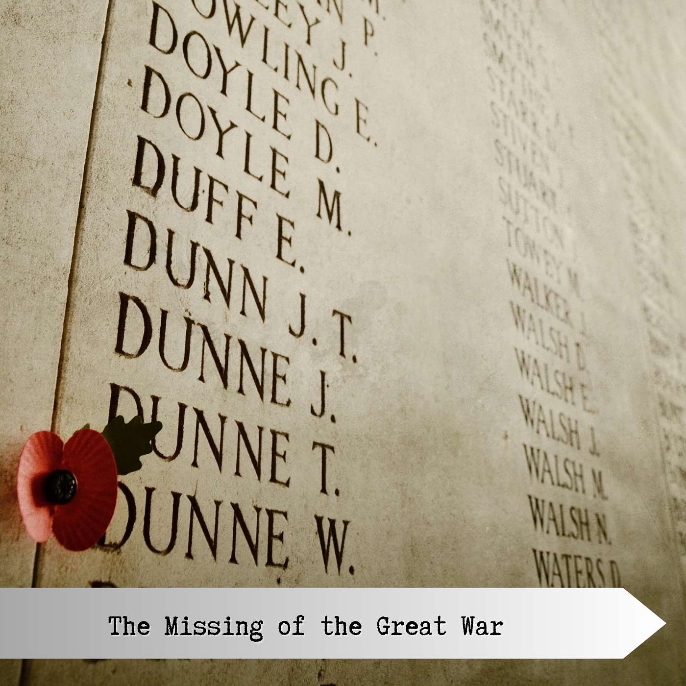 The Missing of the Great War