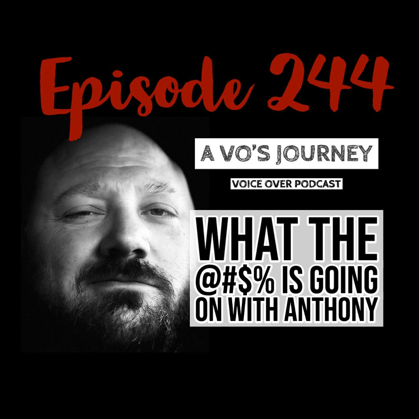 A VO\'s Journey: Voiceover and more voice over