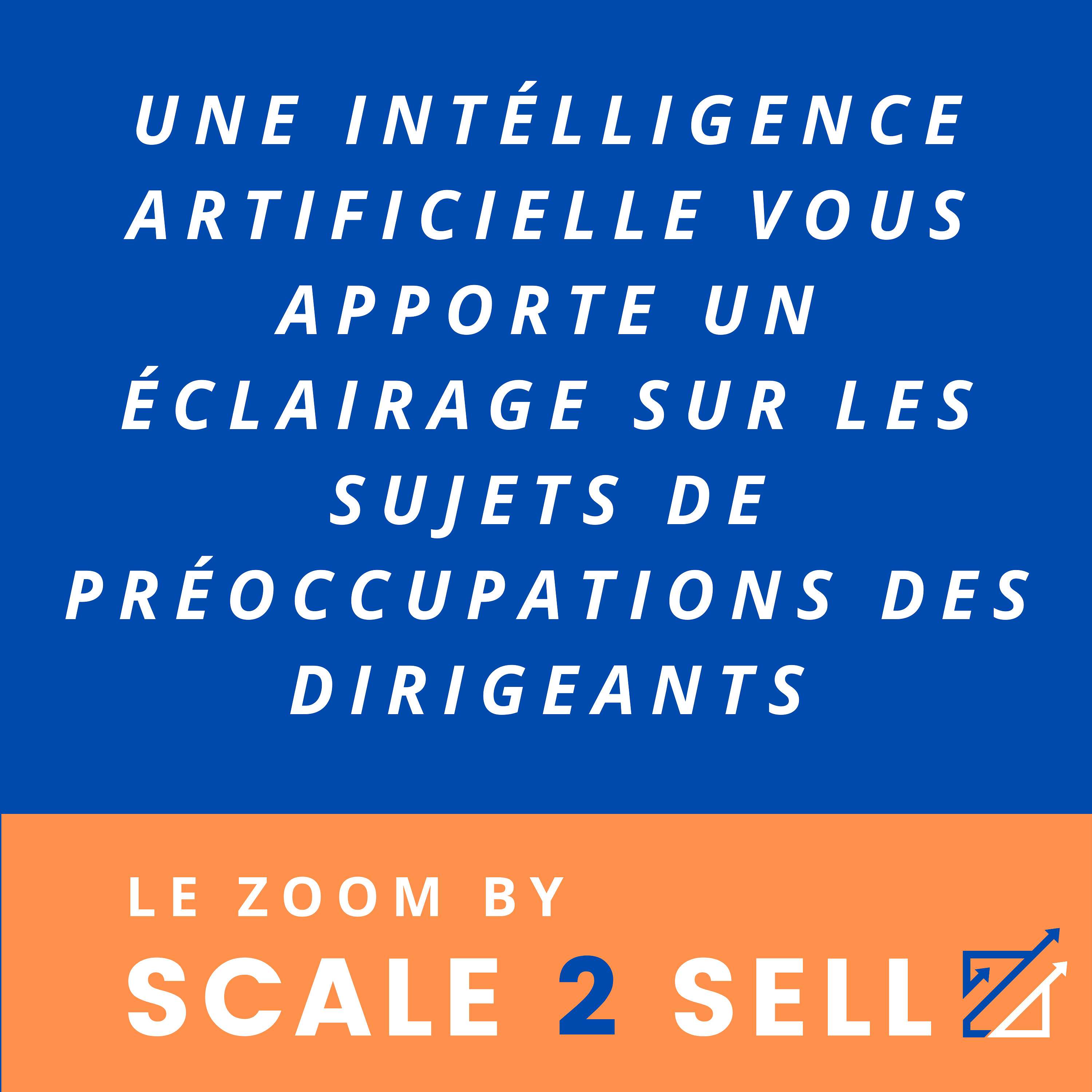 Le Zoom by Scale2Sell