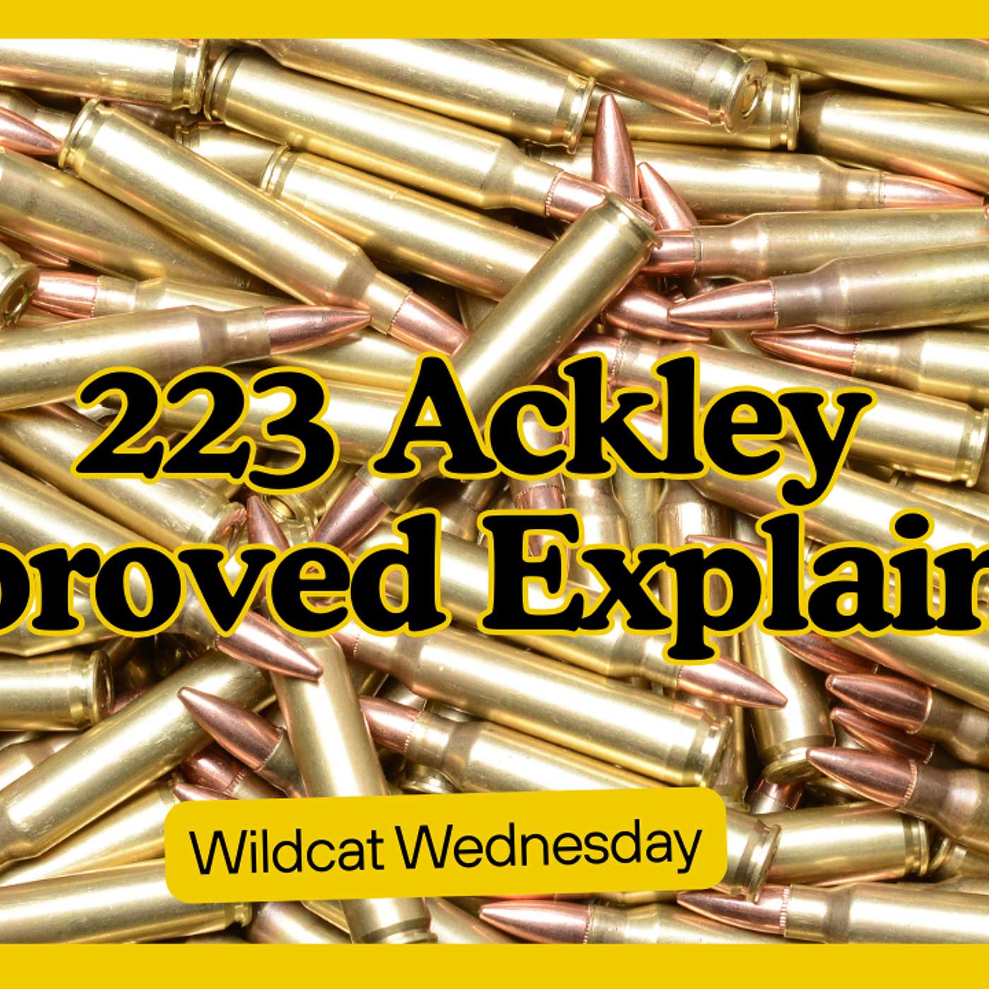 Wildcat Wednesday; The mighty 223 Ackley Improved (223AI)