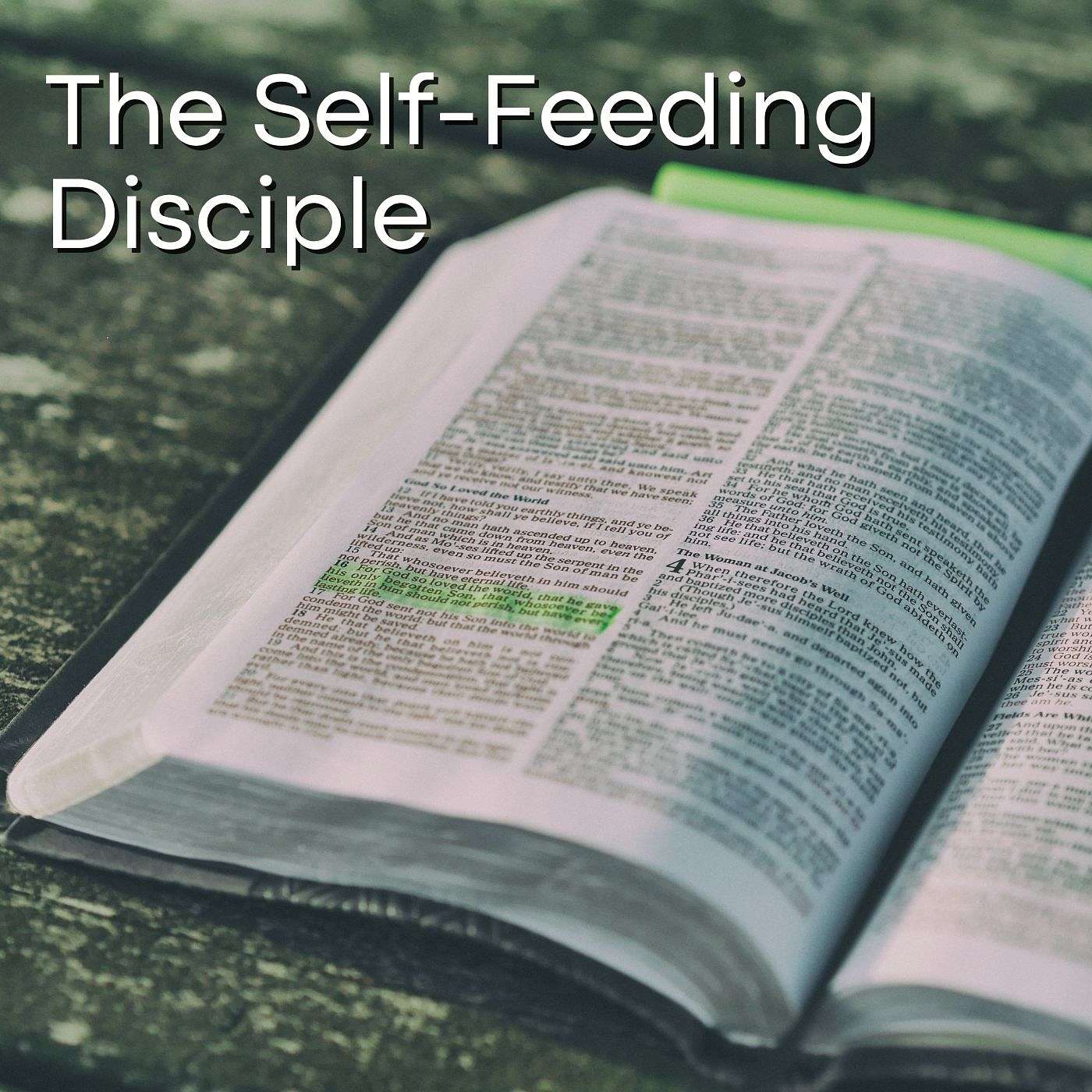 Disciple Making
