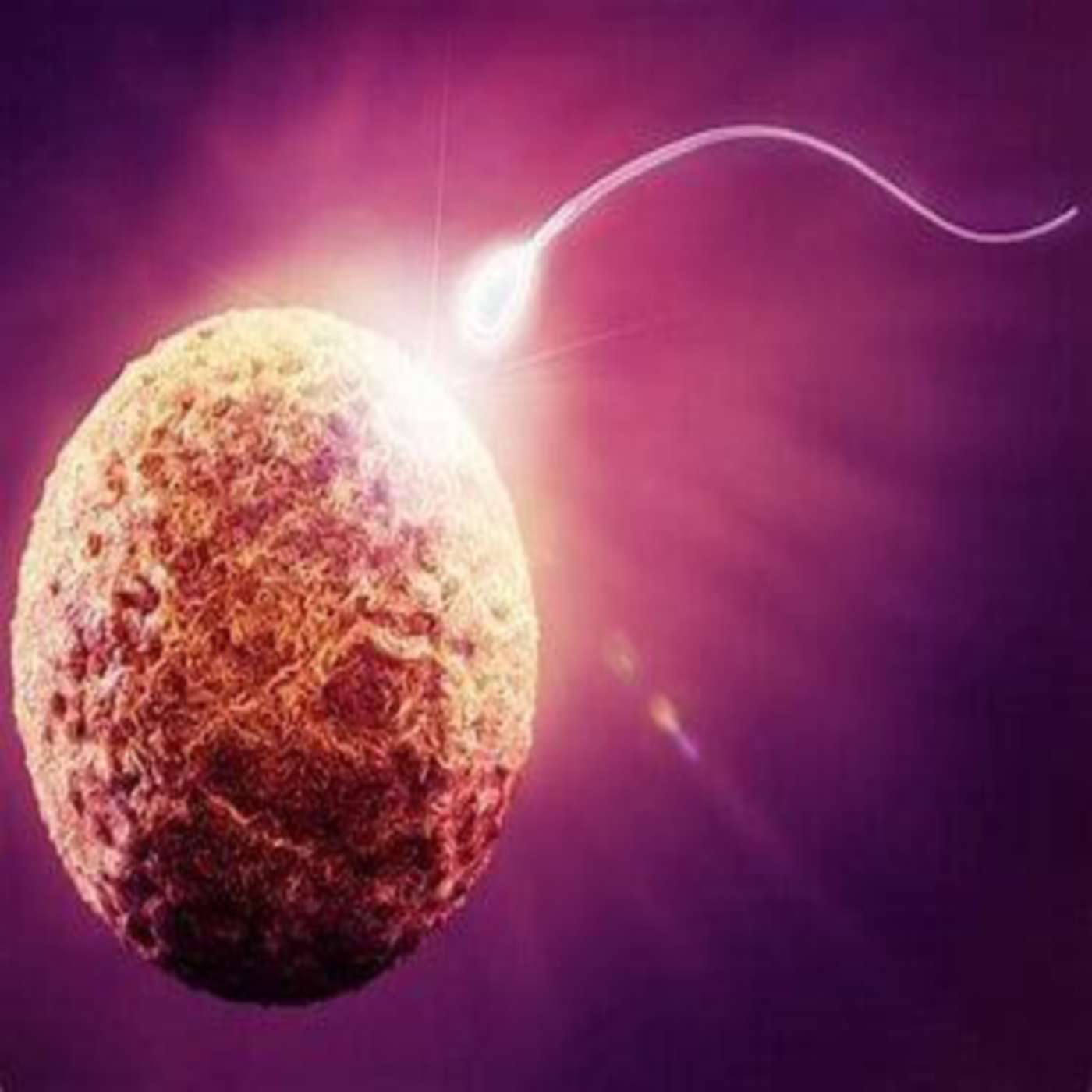 Episode 350: THE THEOLOGY OF CONCEPTION, Part 2