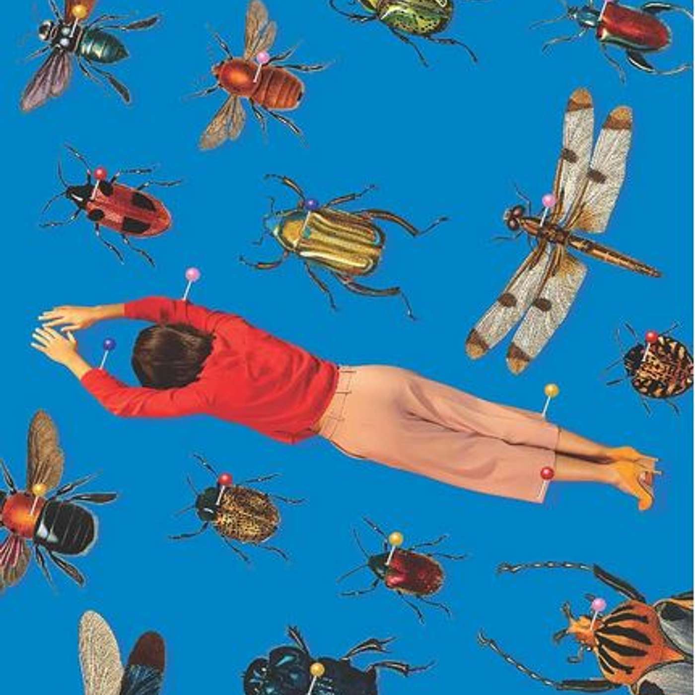 Stinkbug, author Sinead Stubbins
