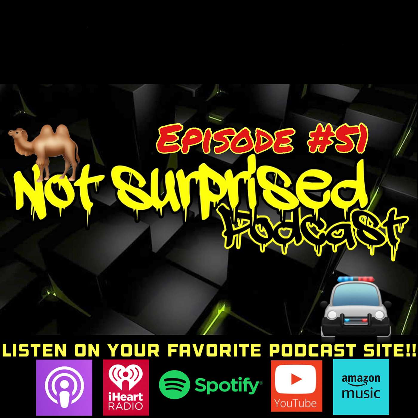Not Surprised Podcast