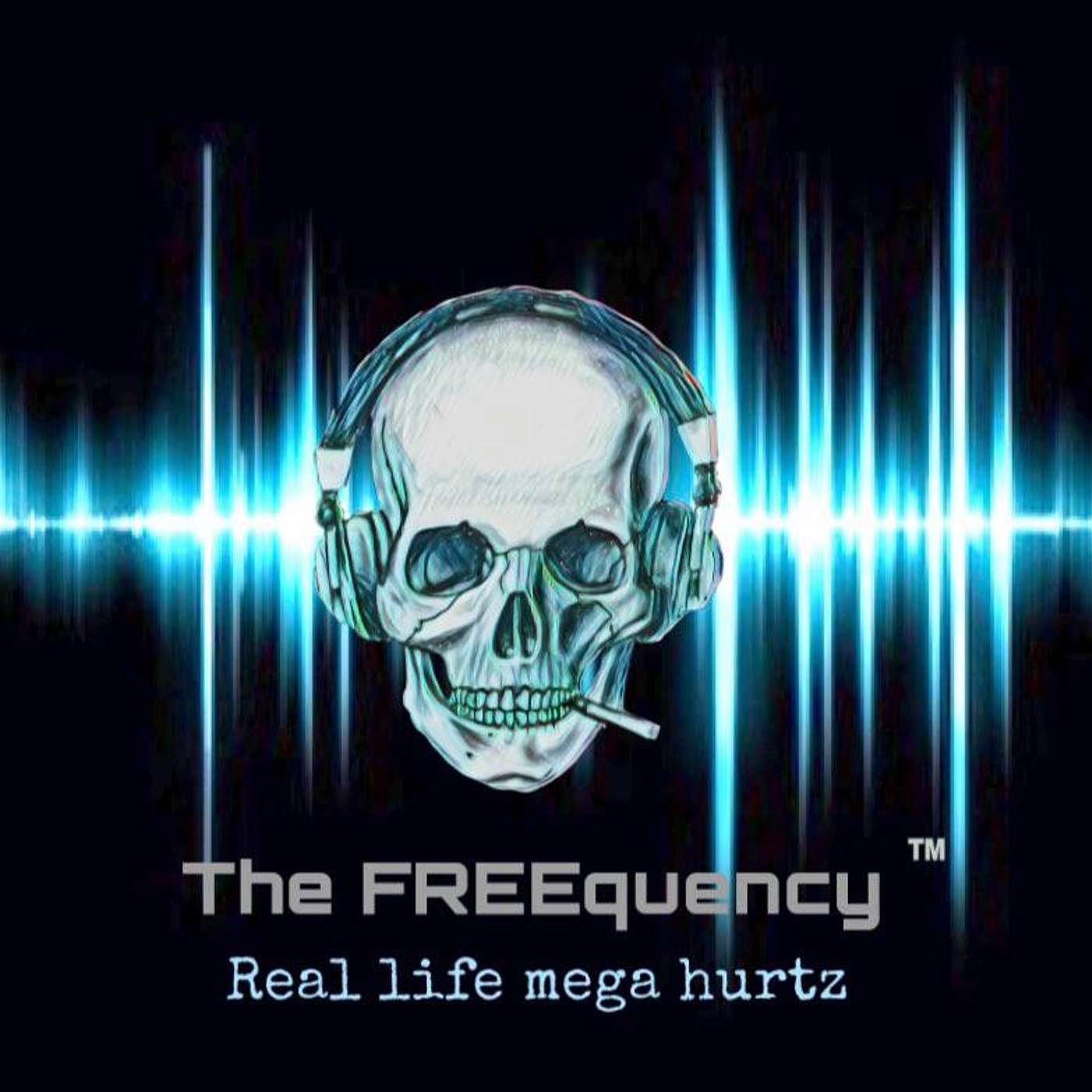 The FREEquency : Real Life Mega Hurtz podcast artwork