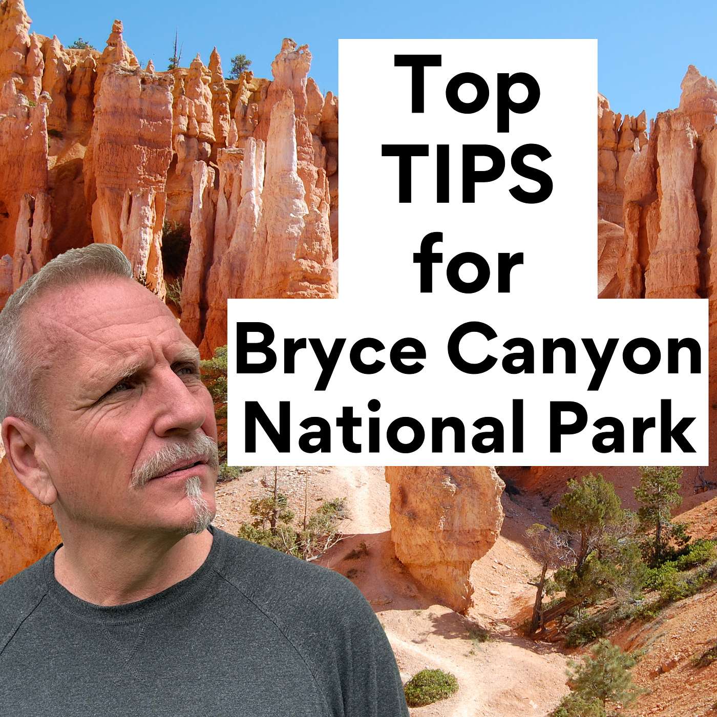 National Parks Collecting