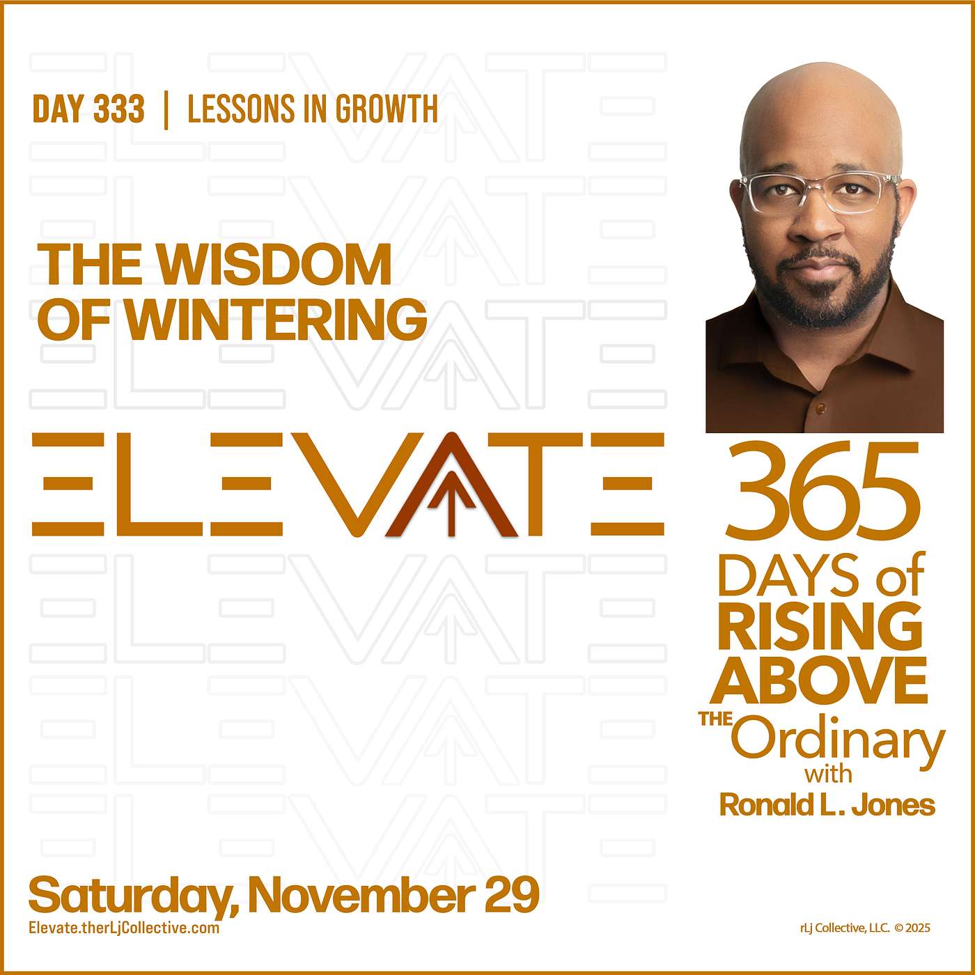 Day 333: The Wisdom of Wintering