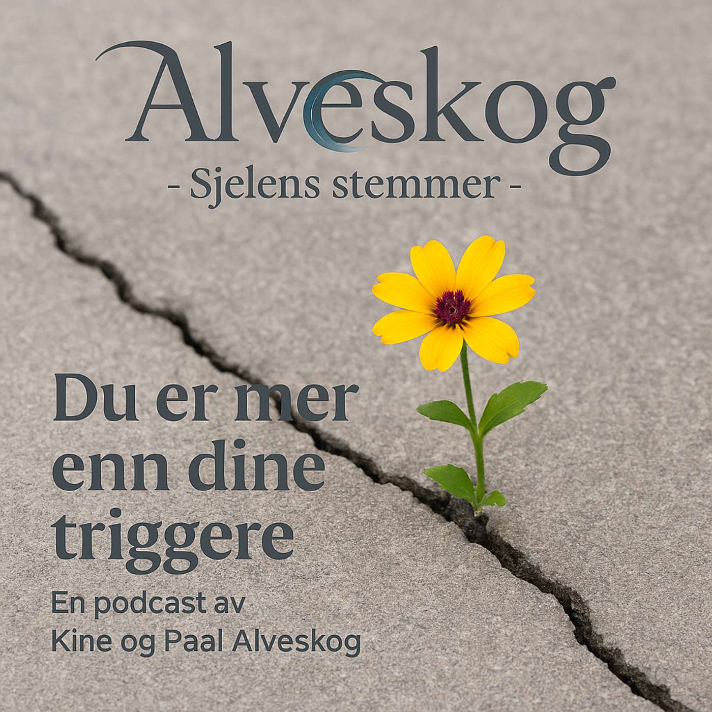 Du er mer enn dine triggere Du er mer enn dine triggere