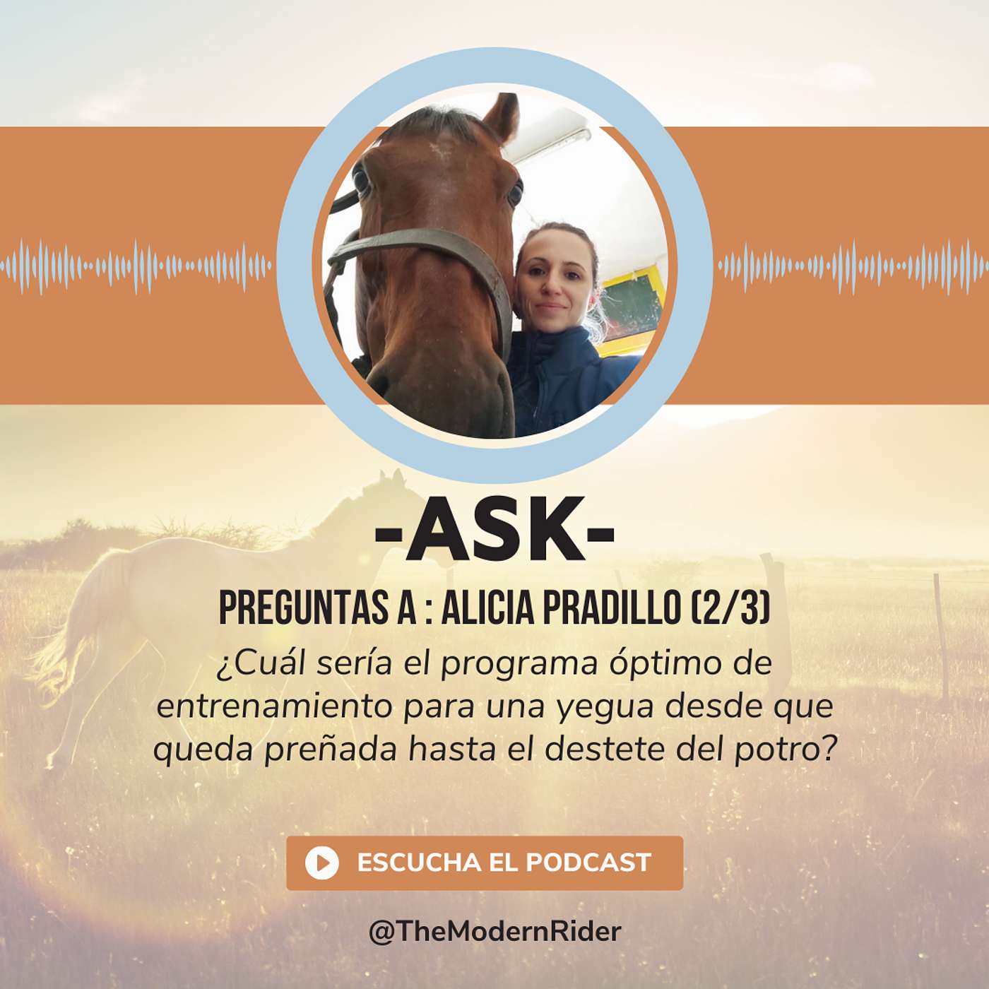 [ASK] Preguntas a Alicia Pradillo (2/3) : ¿Cuál sería el programa óptimo de entrenamiento para una yegua desde que queda preñada hasta el destete del potro?