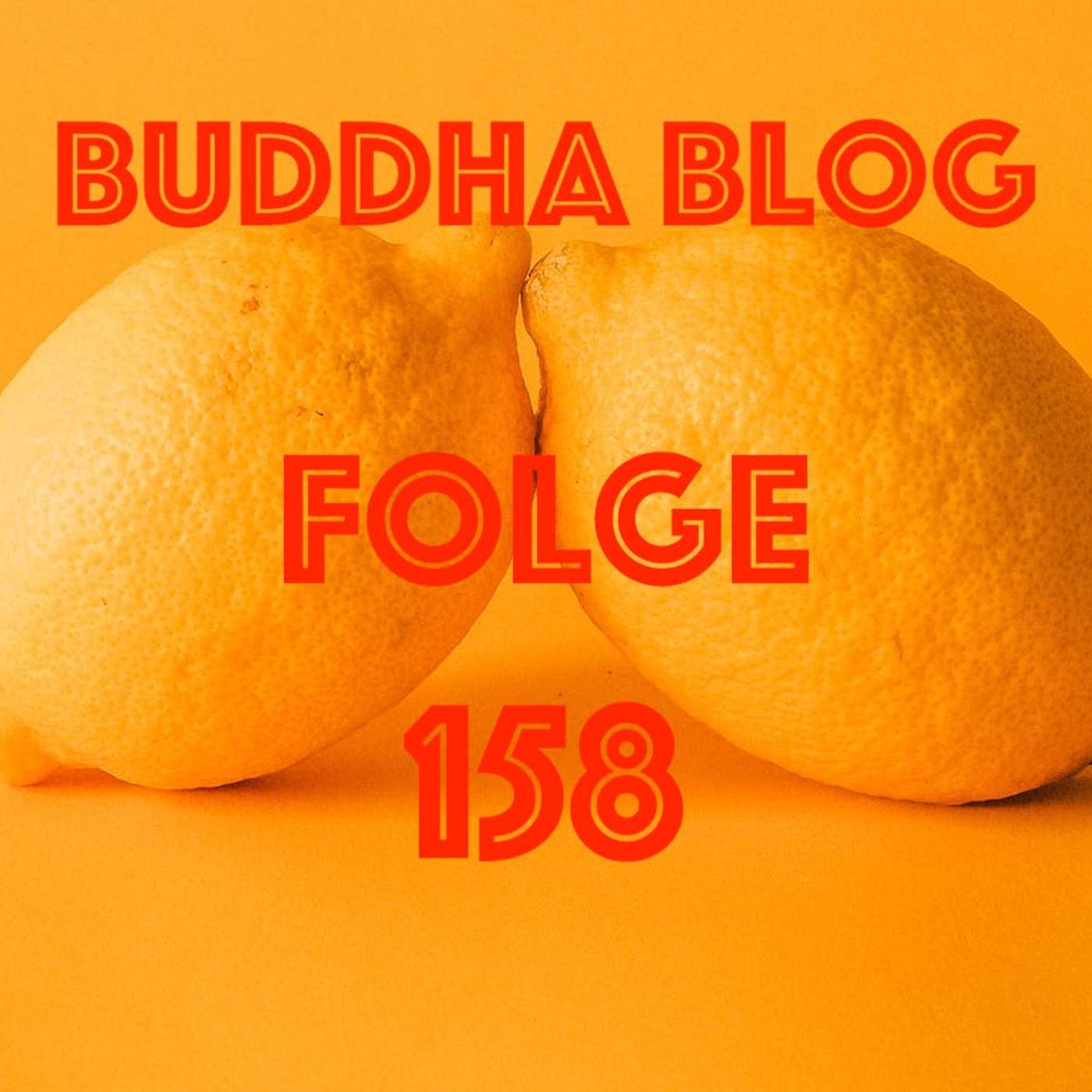 Buddha Blog - Buddhismus im Alltag
