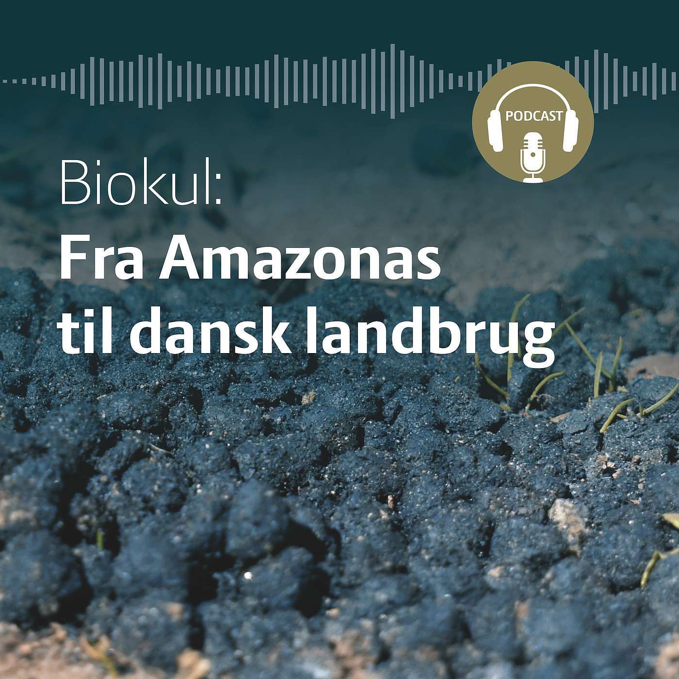 SEGES Økonomi og virksomhedsledelse