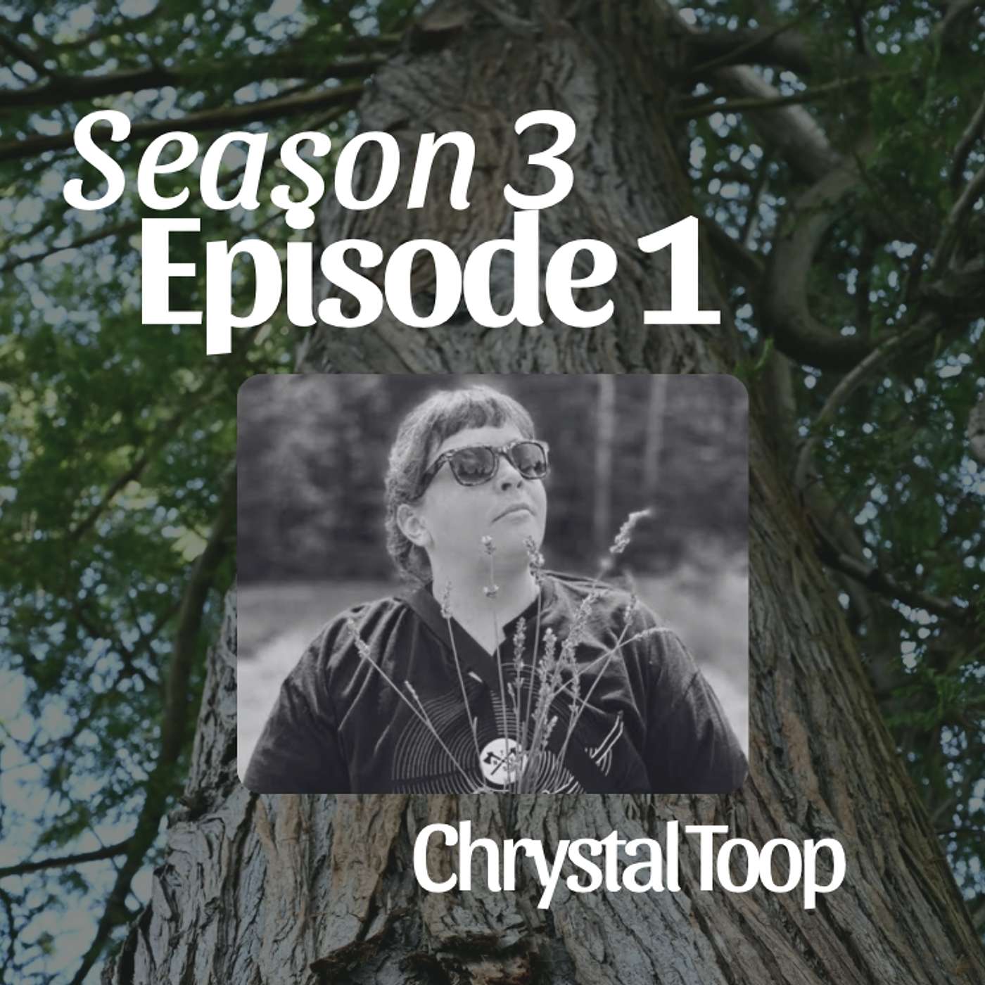 Season 3 Episode 1: Chrystal Toop episode artwork