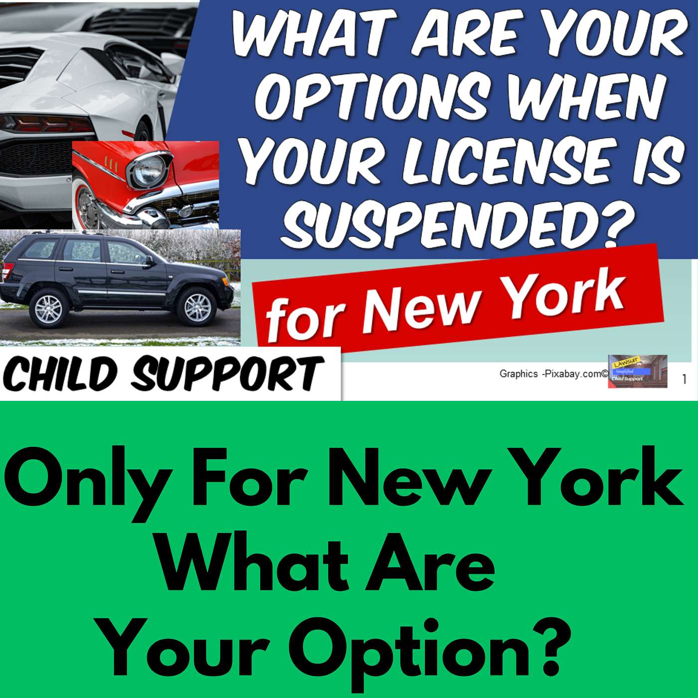 Child Support Made Simple - Strategies to Escape the Title 4D Program.