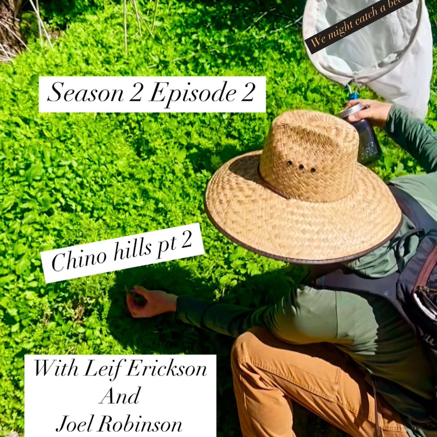 State of The State Parks Season 2 Ep 2 More Bees at Chino Hills With Leif Richardson and Barefoot Joel!