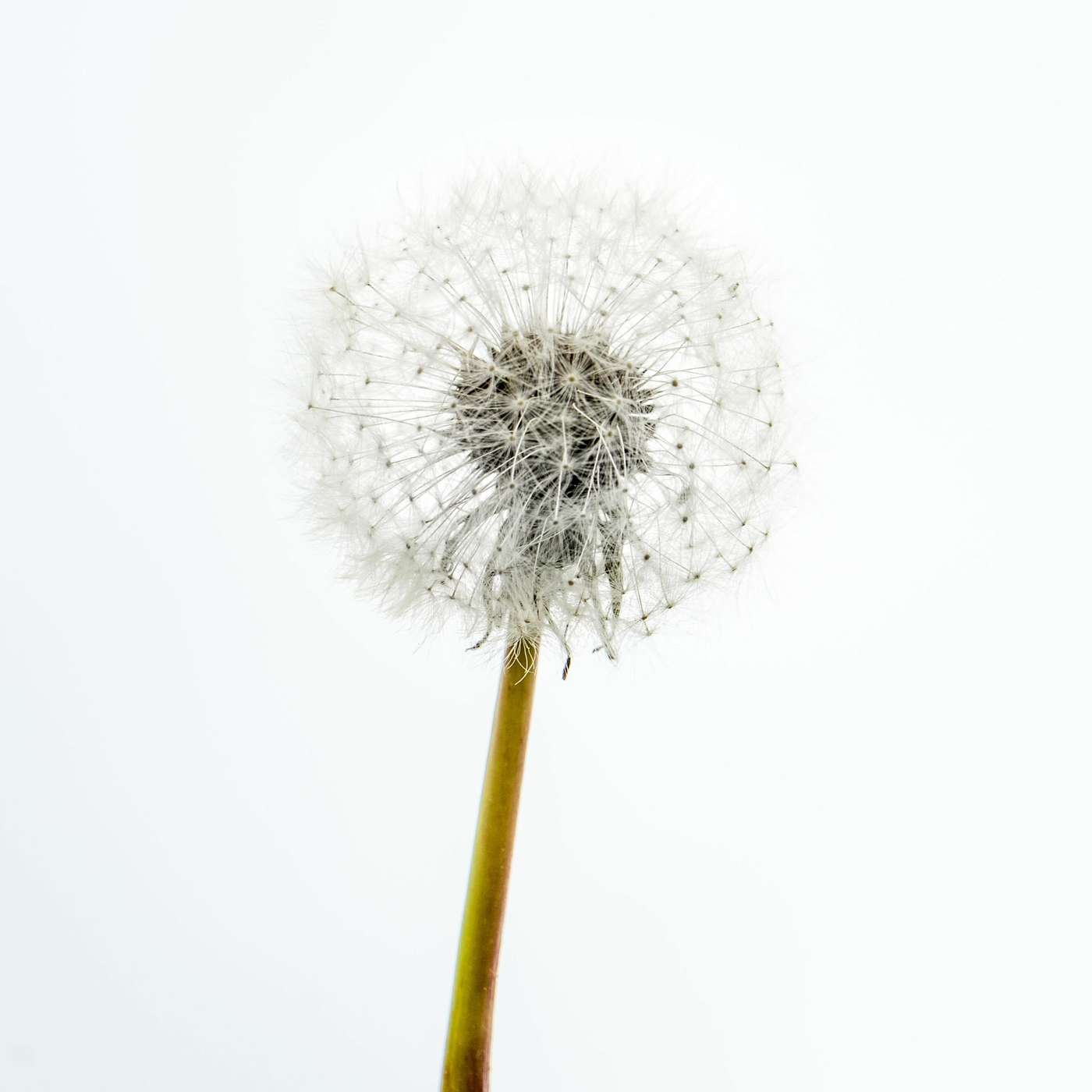 Breathing Techniques for Anxiety and Depression: How to Calm Your Mind and Body