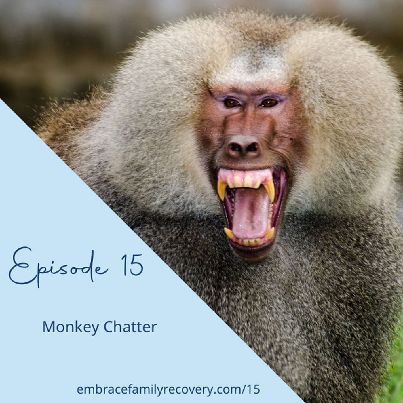 The Embrace Family Recovery Podcast