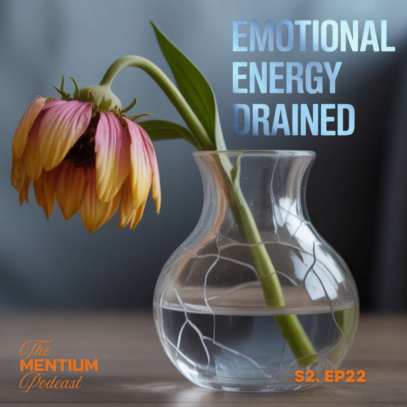 S2 EP22 | Unburdened: The Power of Emotional Decluttering