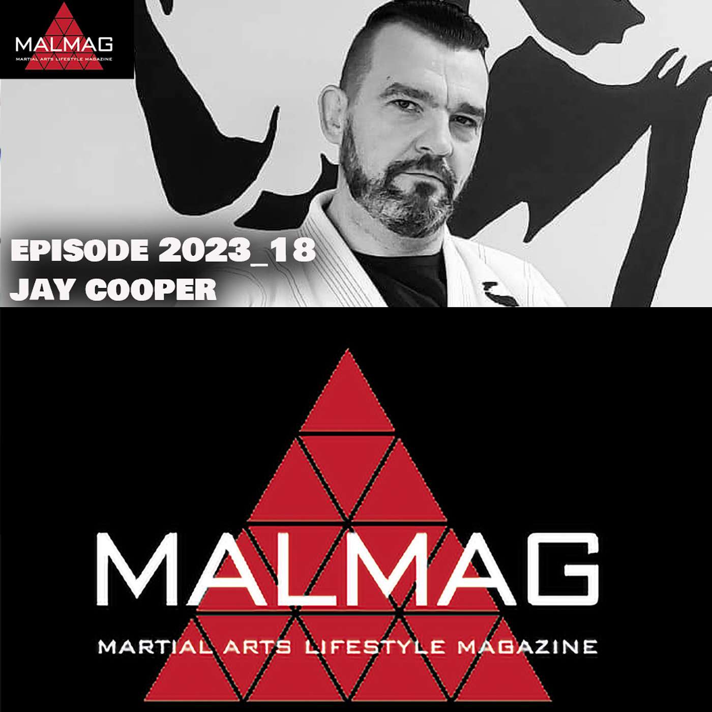 The Martial Arts Lifestyle Podcast