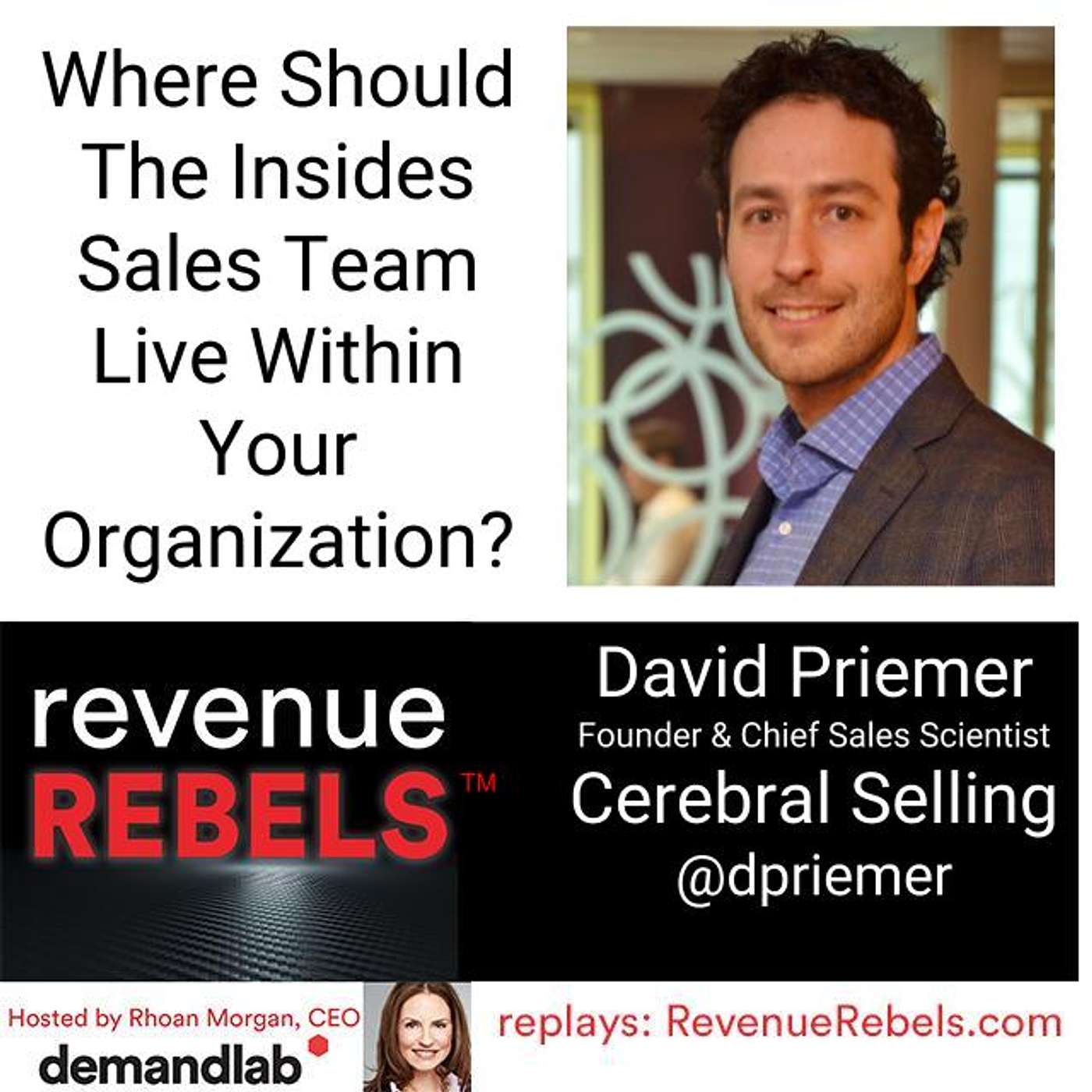 Revenue Rebels by DemandLab