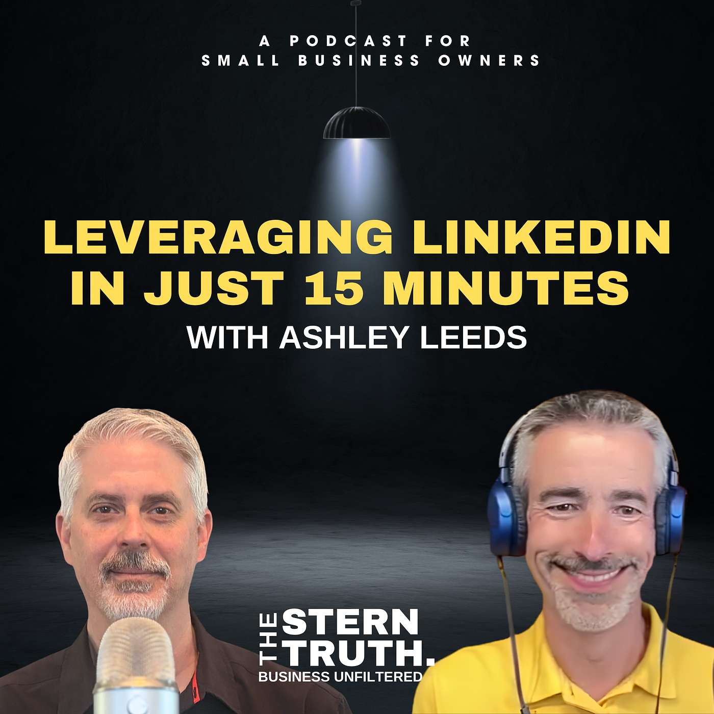 Ep. 75 The Stern Truth: Leveraging LinkedIn in Just 15 Minutes with Ashley Leeds episode artwork