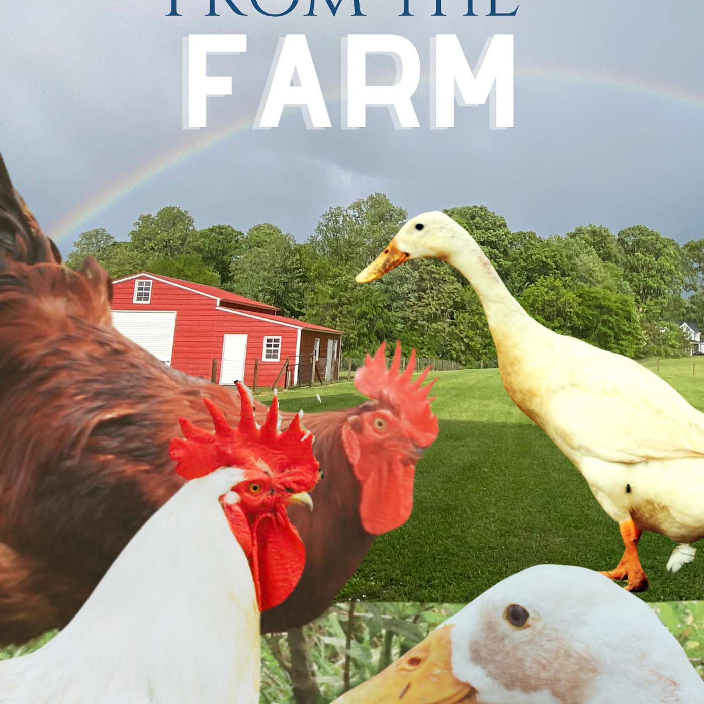 Lessons from my Farm