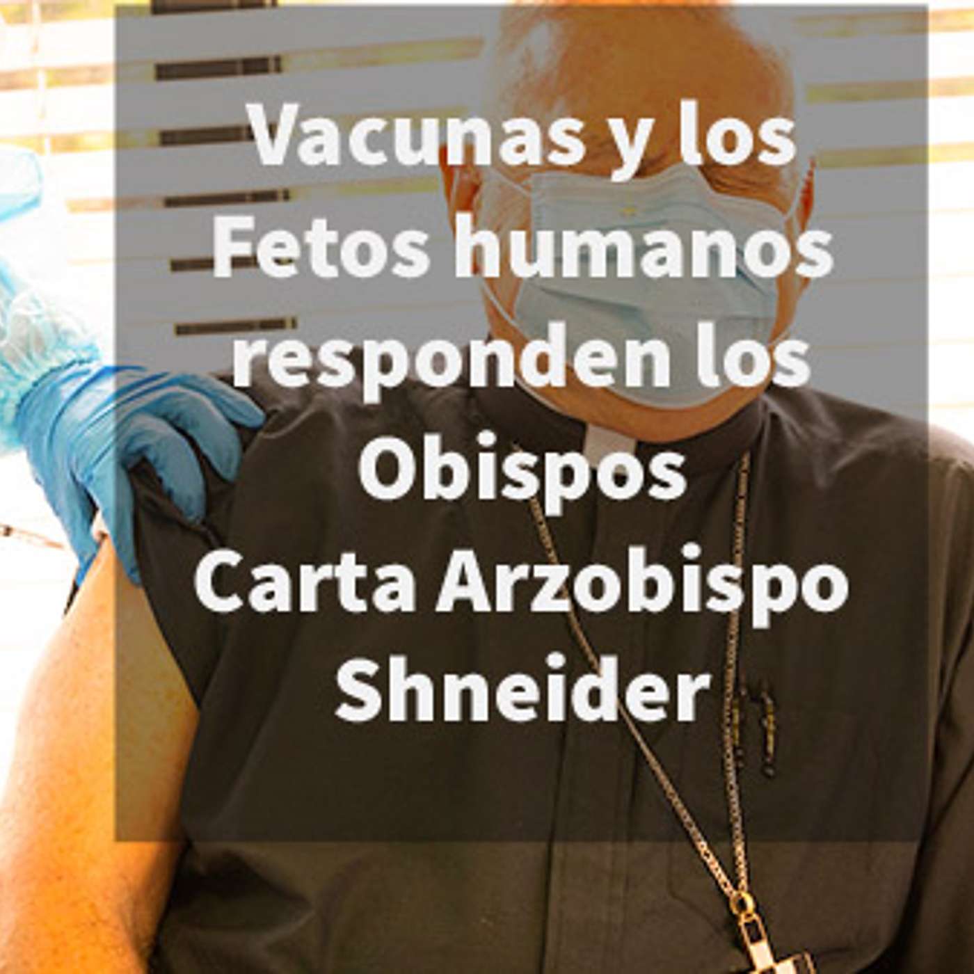 Episodio 414: 😷 Vacunas 👶 Fetos humanos 😱 Responden los Obispos 🤷‍♂️ Carta Arzobispo Schneider 🙏
