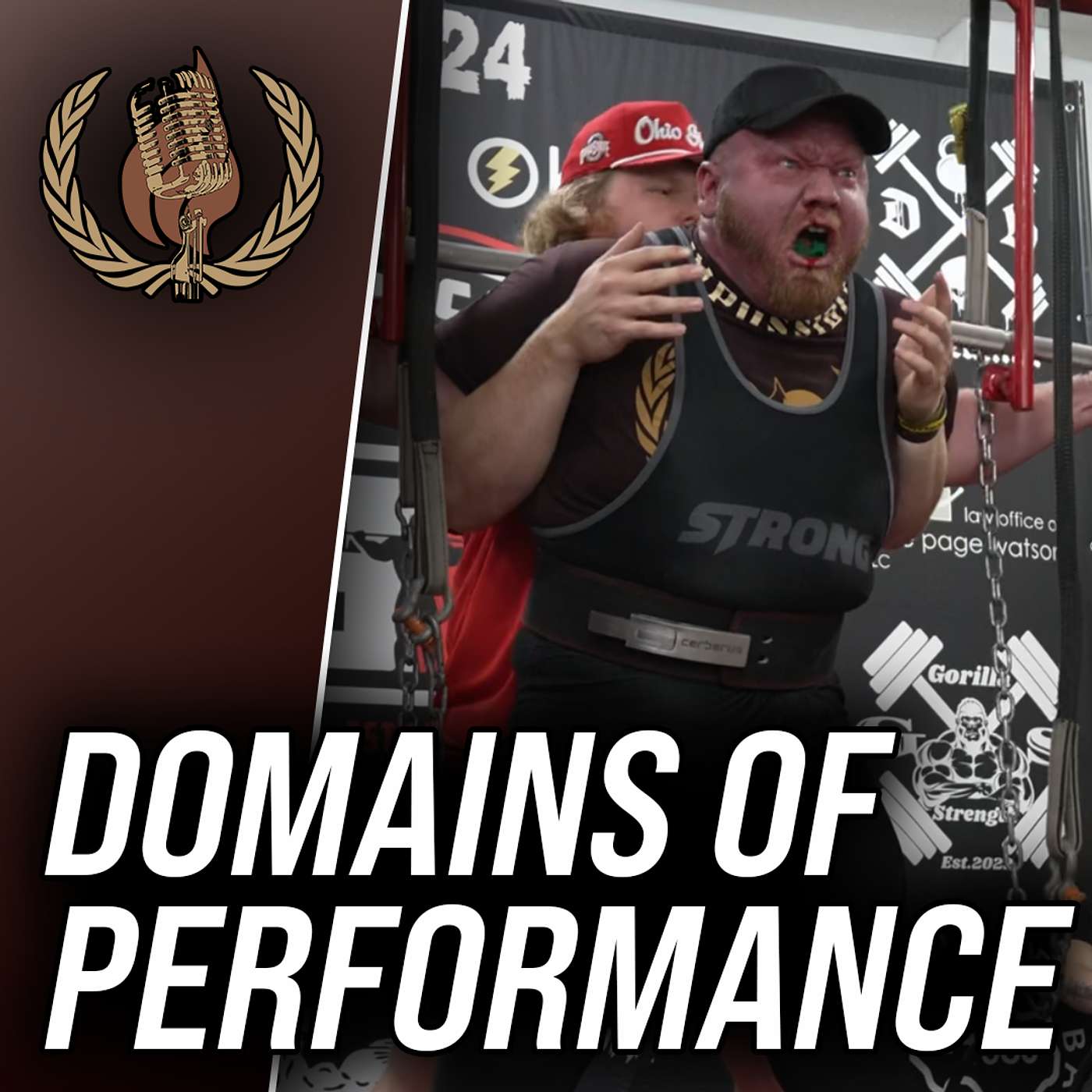 Domains of Performance - How I Squat 500 lbs with One Leg - with Matthew Hill