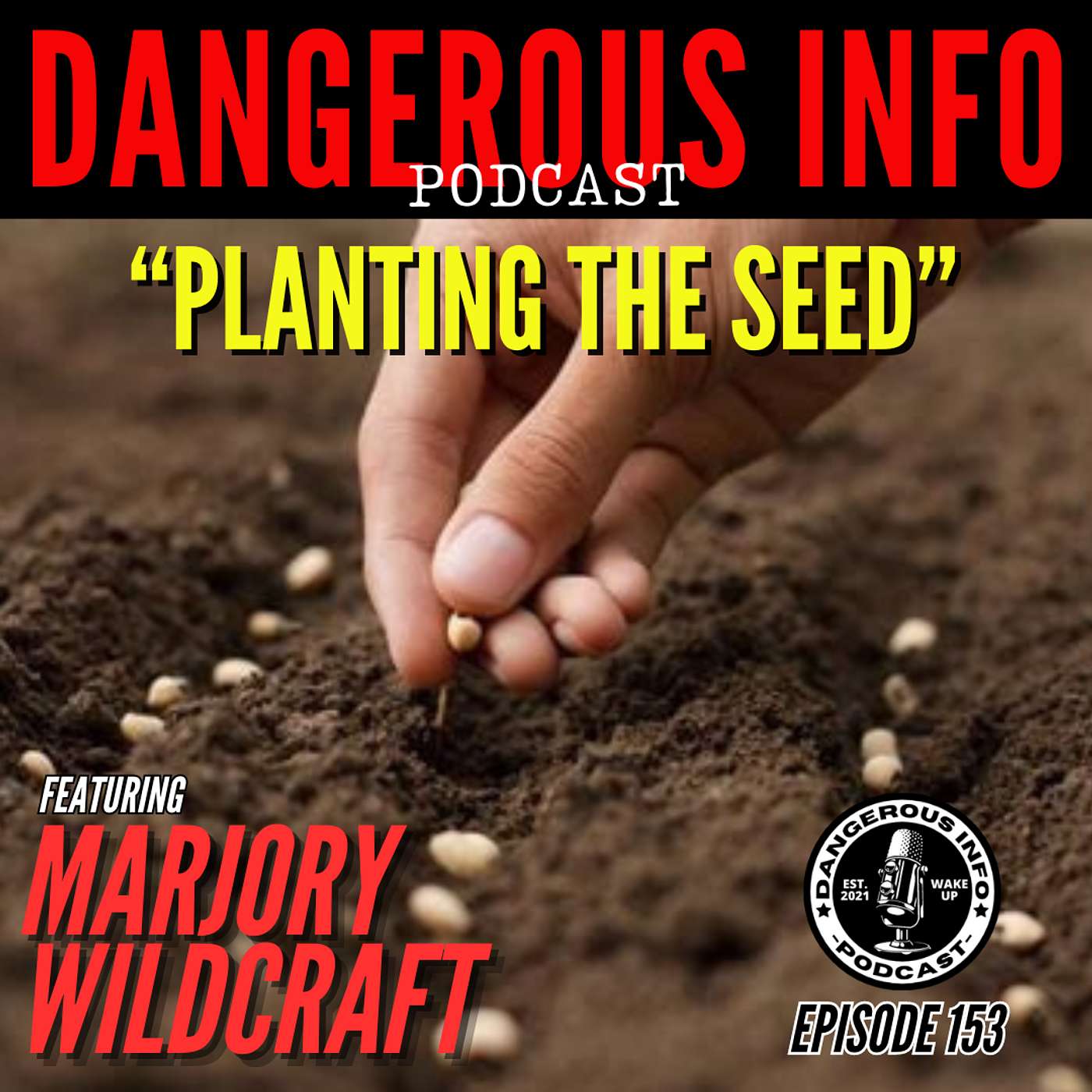 153 "Planting The Seed" ft. Marjory Wildcraft, solar storms, Vatican blue beam, Atrazine frogs, Boy Scouts, Challenger shuttle