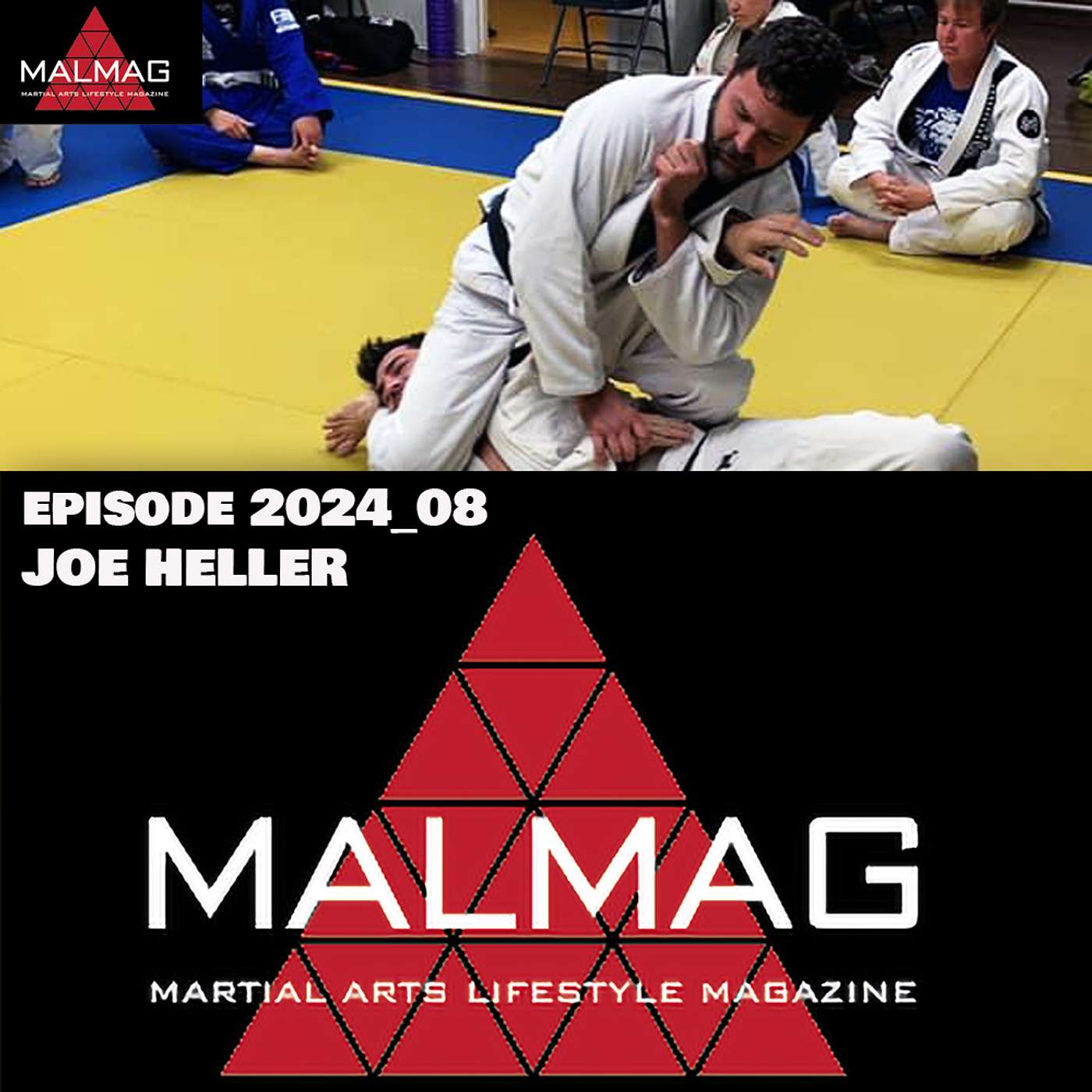 The Martial Arts Lifestyle Podcast