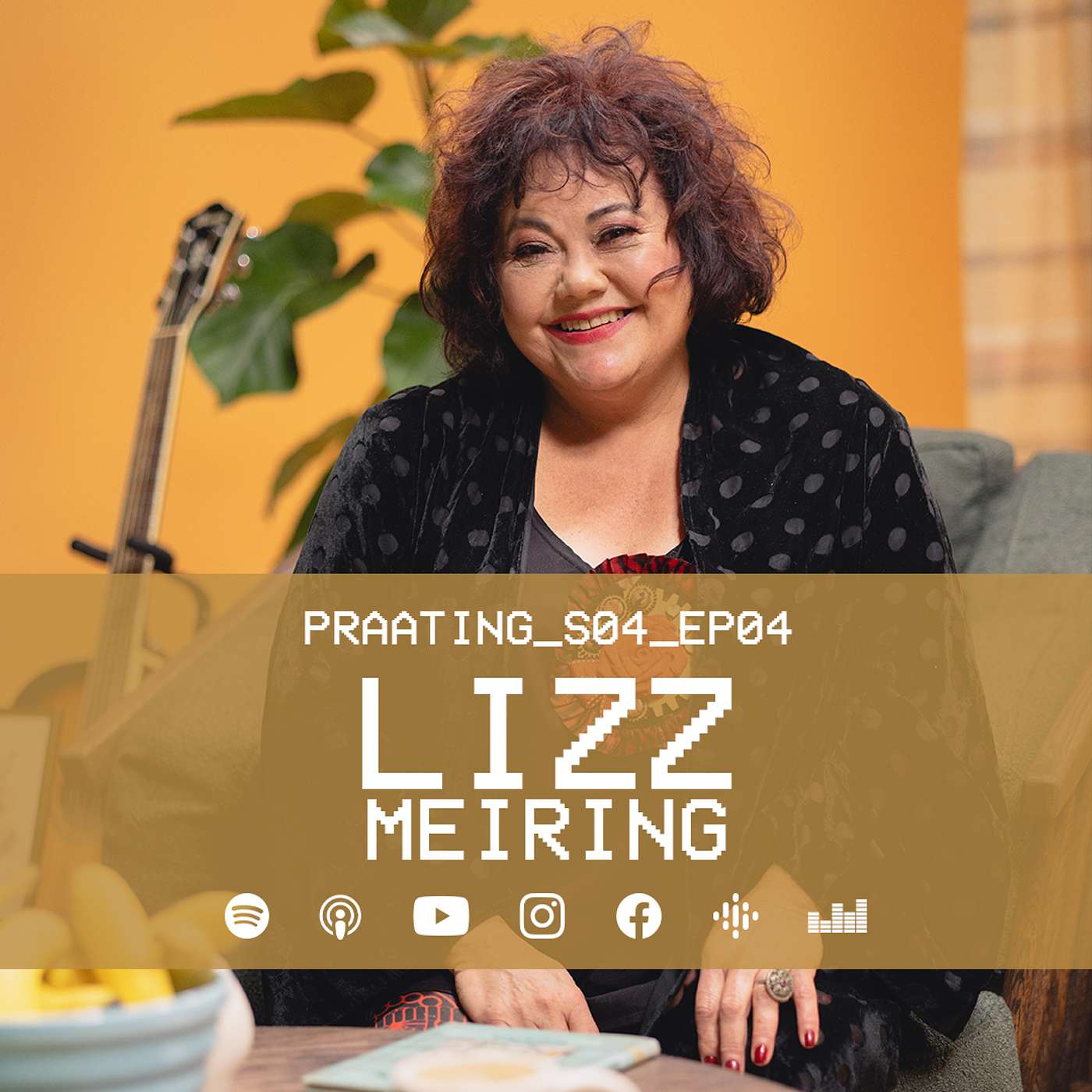 LIZZ MEIRING
