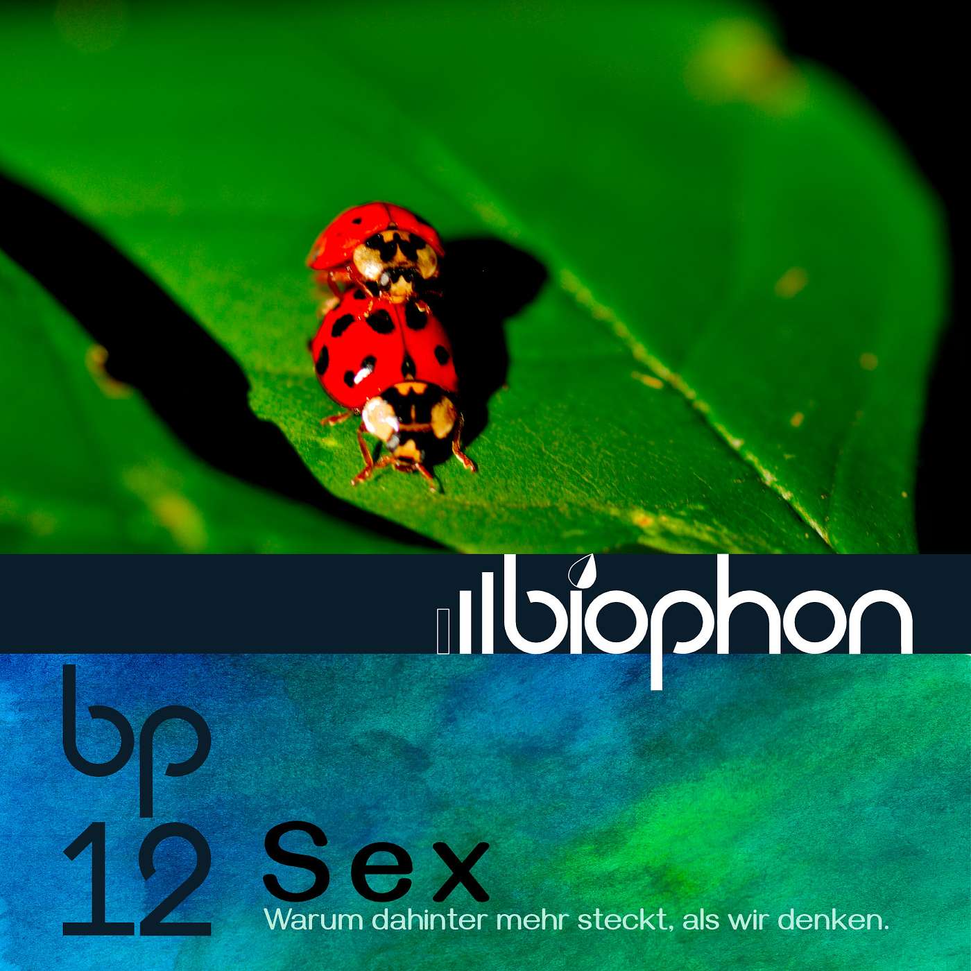 biophon - Geschichten aus Biowissenschaft und Forschung