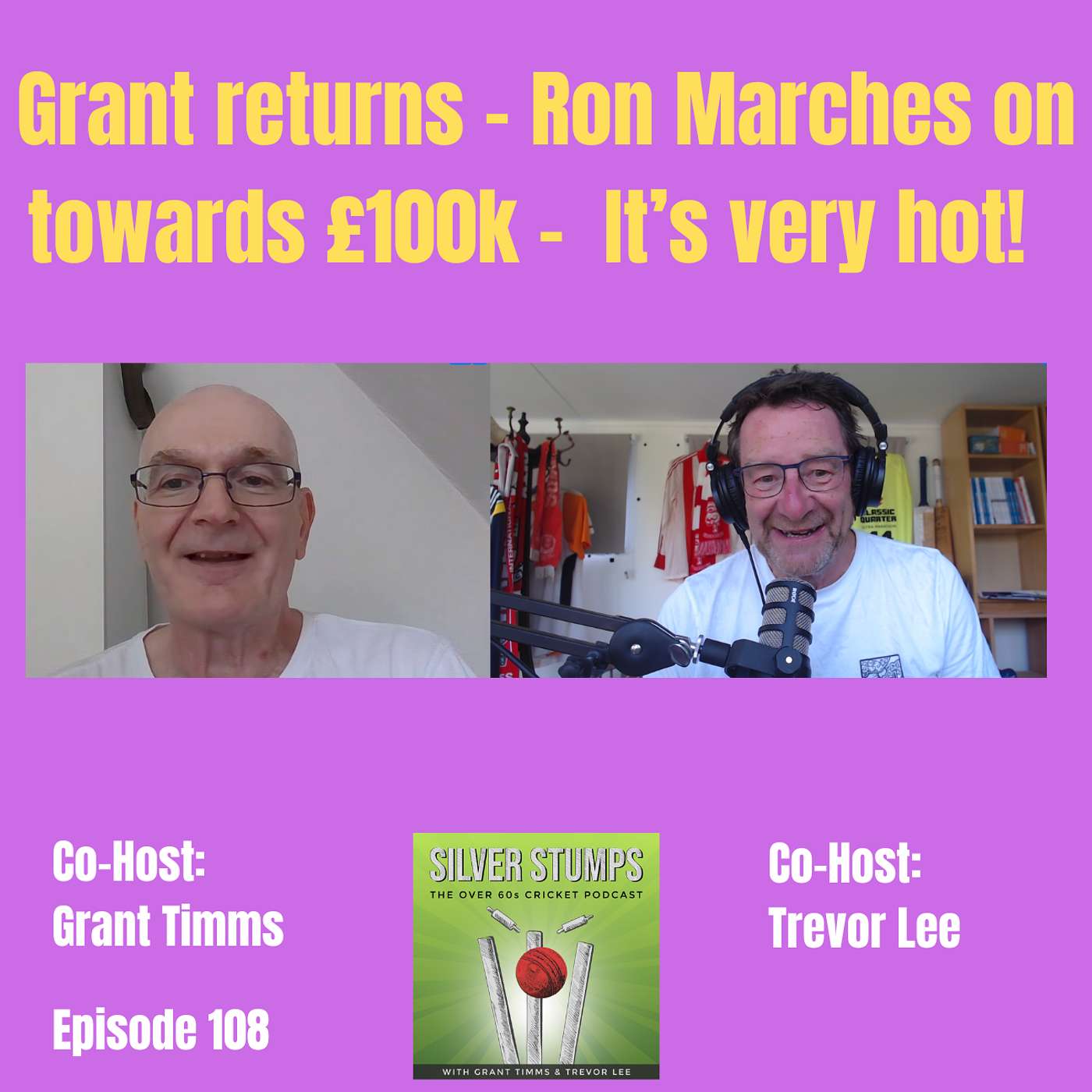 Silver Stumps - the Over 60s/70s Cricket Podcast