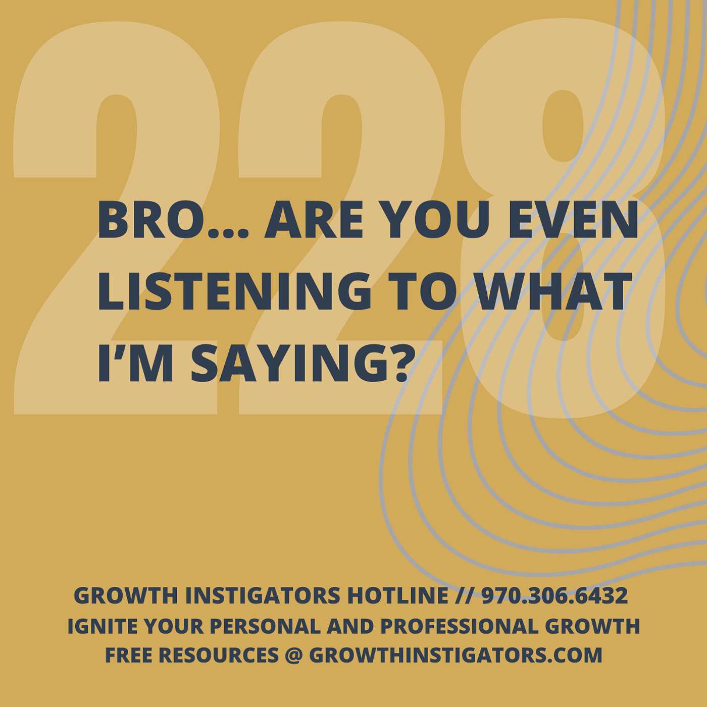 #228 Bro… are you even listening to what I’m saying? episode artwork