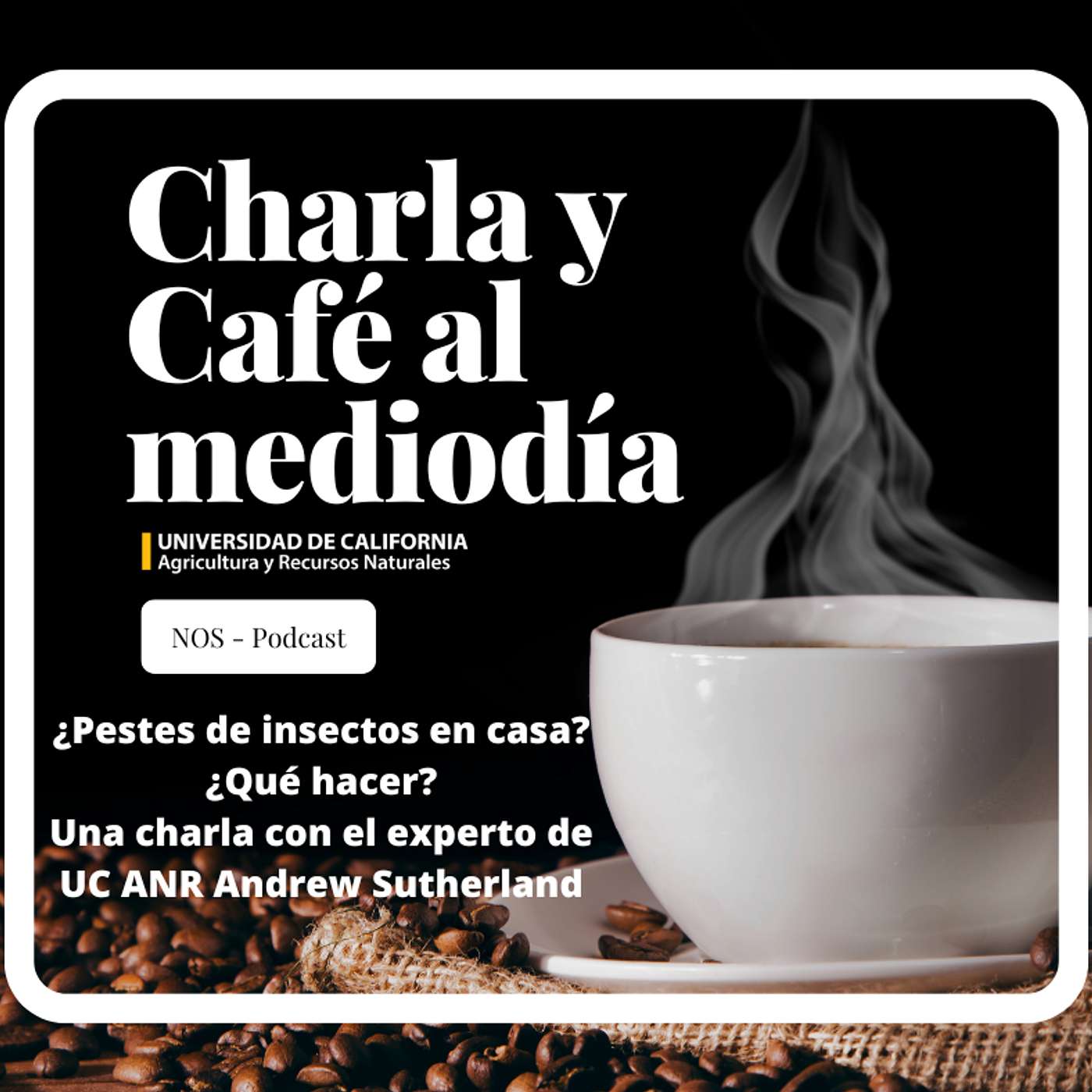 NOS\'s Podcast
