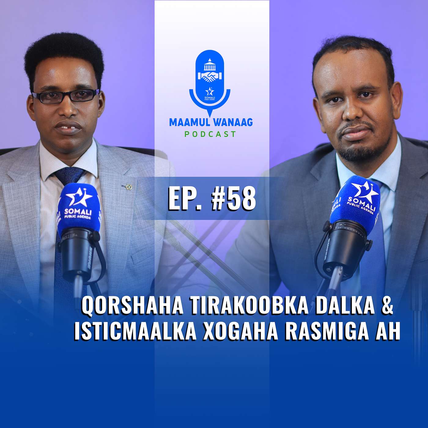 Qorshaha Tirakoobka Dalka & Isticmaalka Xogaha Rasmiga ah