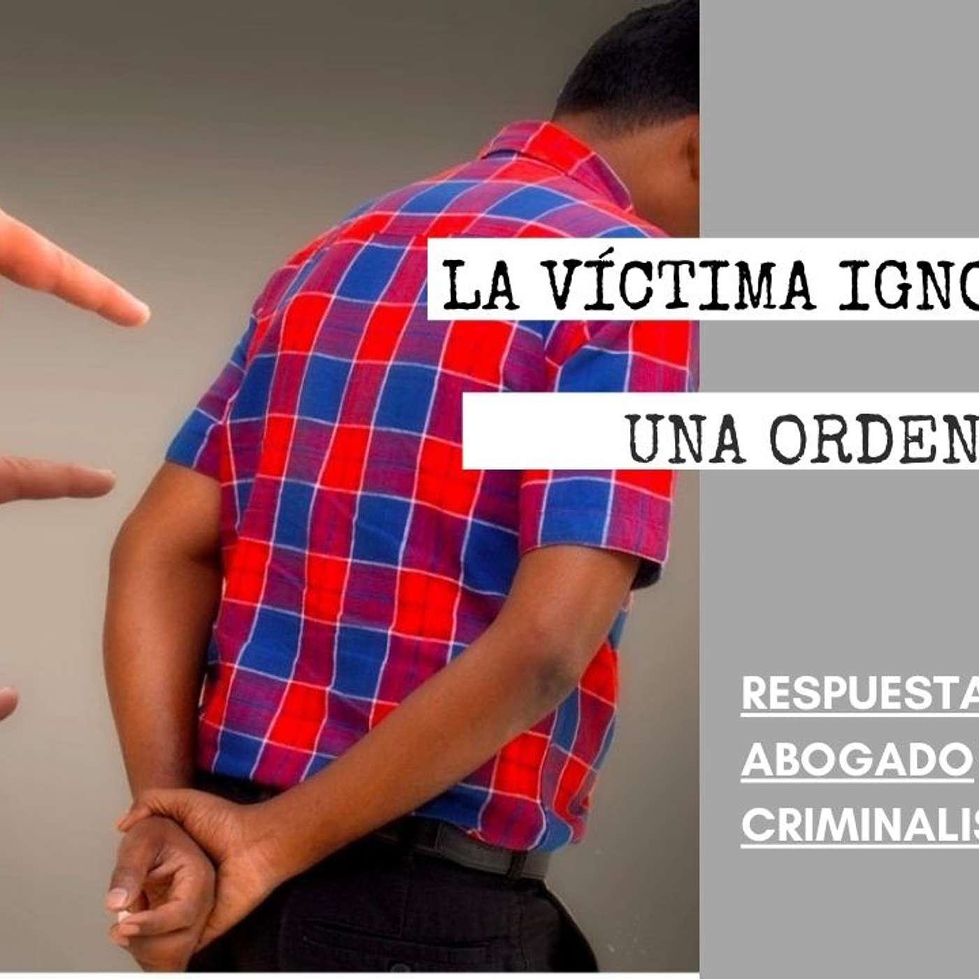 Abogado Criminalista Área de la Bahía