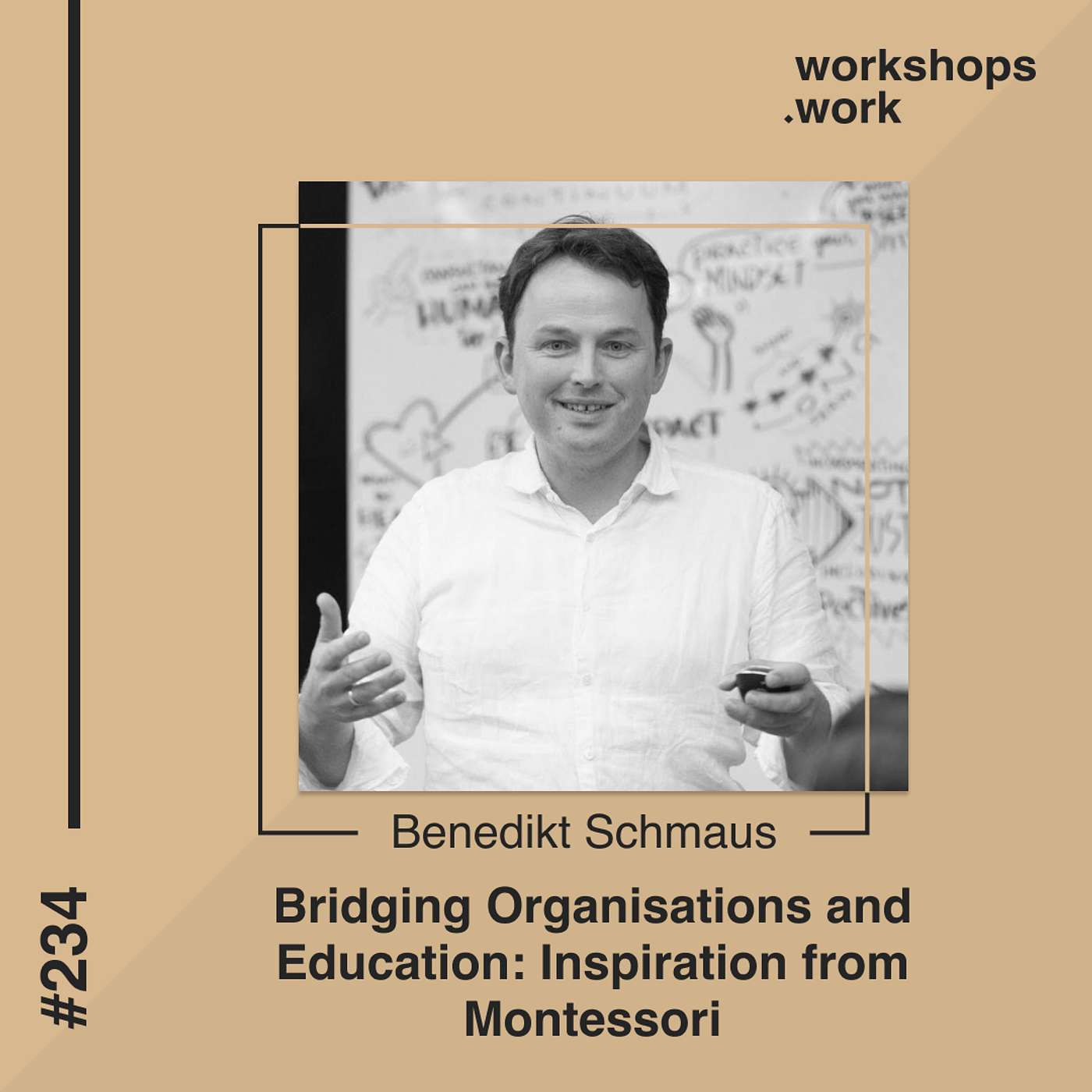 234 - Bridging Organisations and Education: Inspiration from Montessori with Benedikt Schmaus