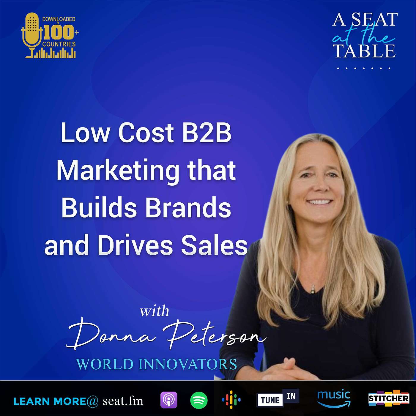 Low Cost B2B Marketing That Builds Brands and Drives Sales episode artwork