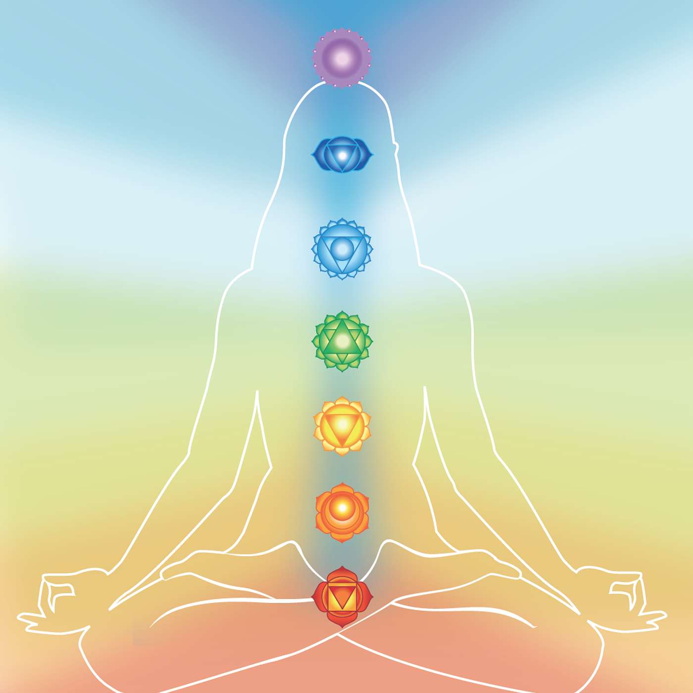 El 1x1 del ser -  los mundos energéticos de los chakras