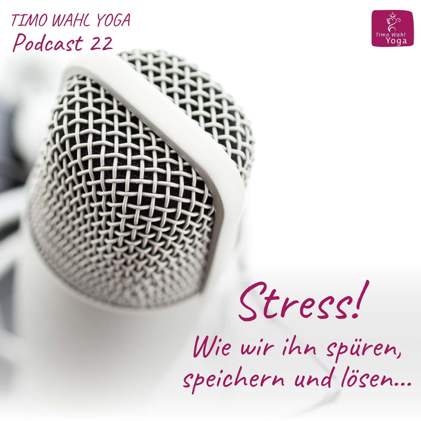 #27 Stress im Körper - wie wir ihn spüren, speichern und lösen #27 Stress im Körper - wie wir ihn spüren, speichern und lösen